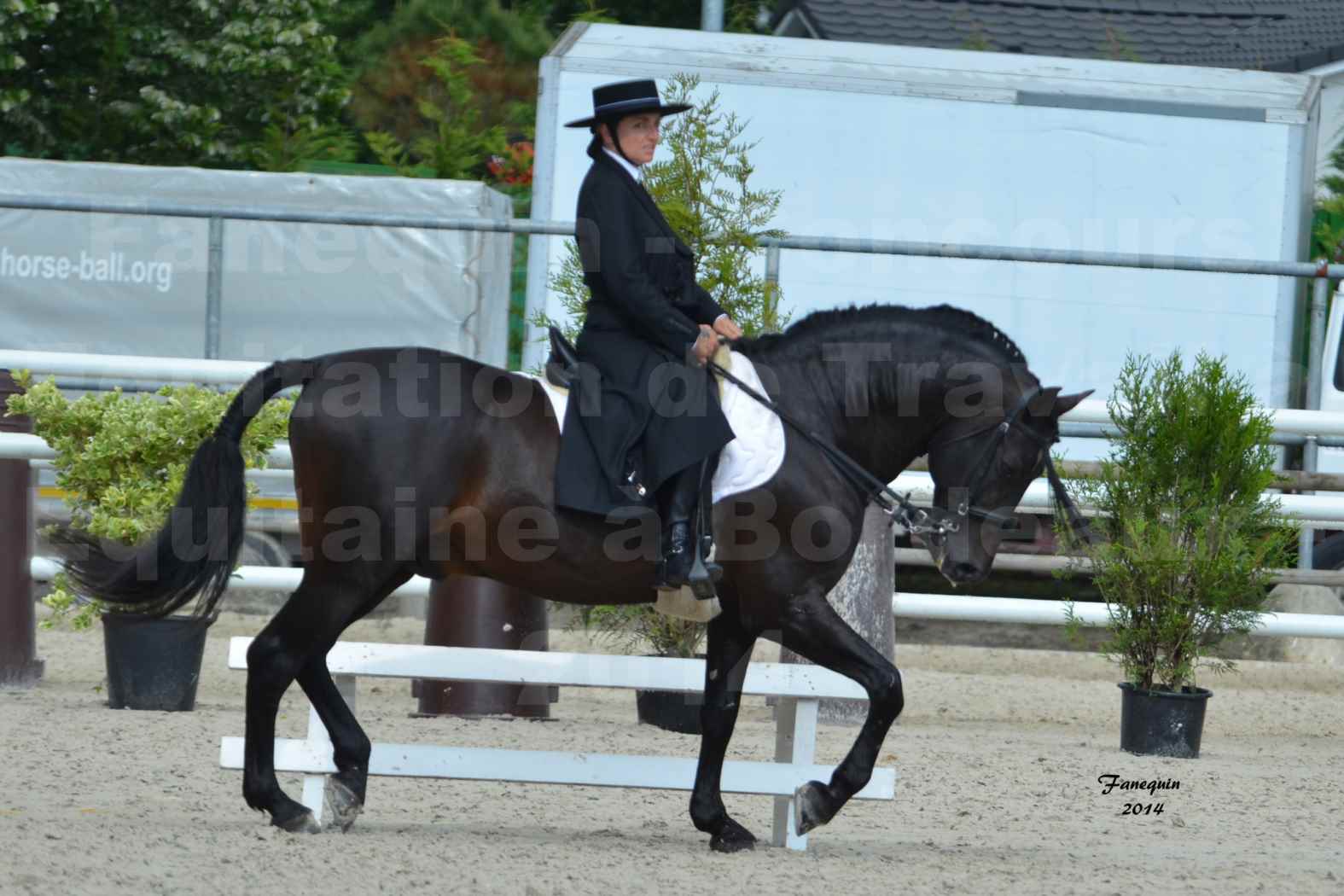 Salon Equitaine de Bordeaux en 2014 - concours Equitation de travail - Épreuve de Dressage - 05