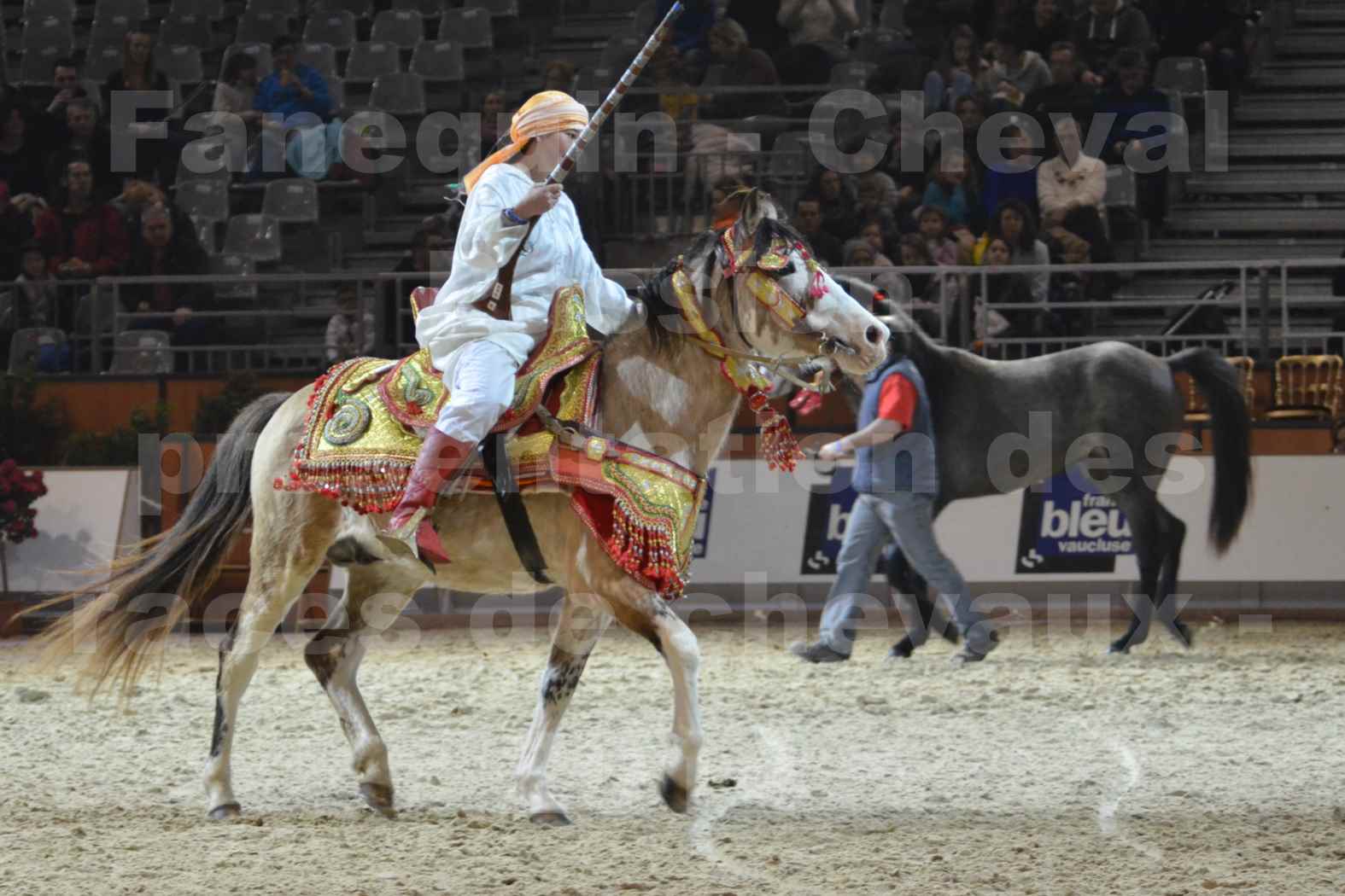 Cheval Passion 2014 - Chevaux BARBES - Notre Sélection - 13