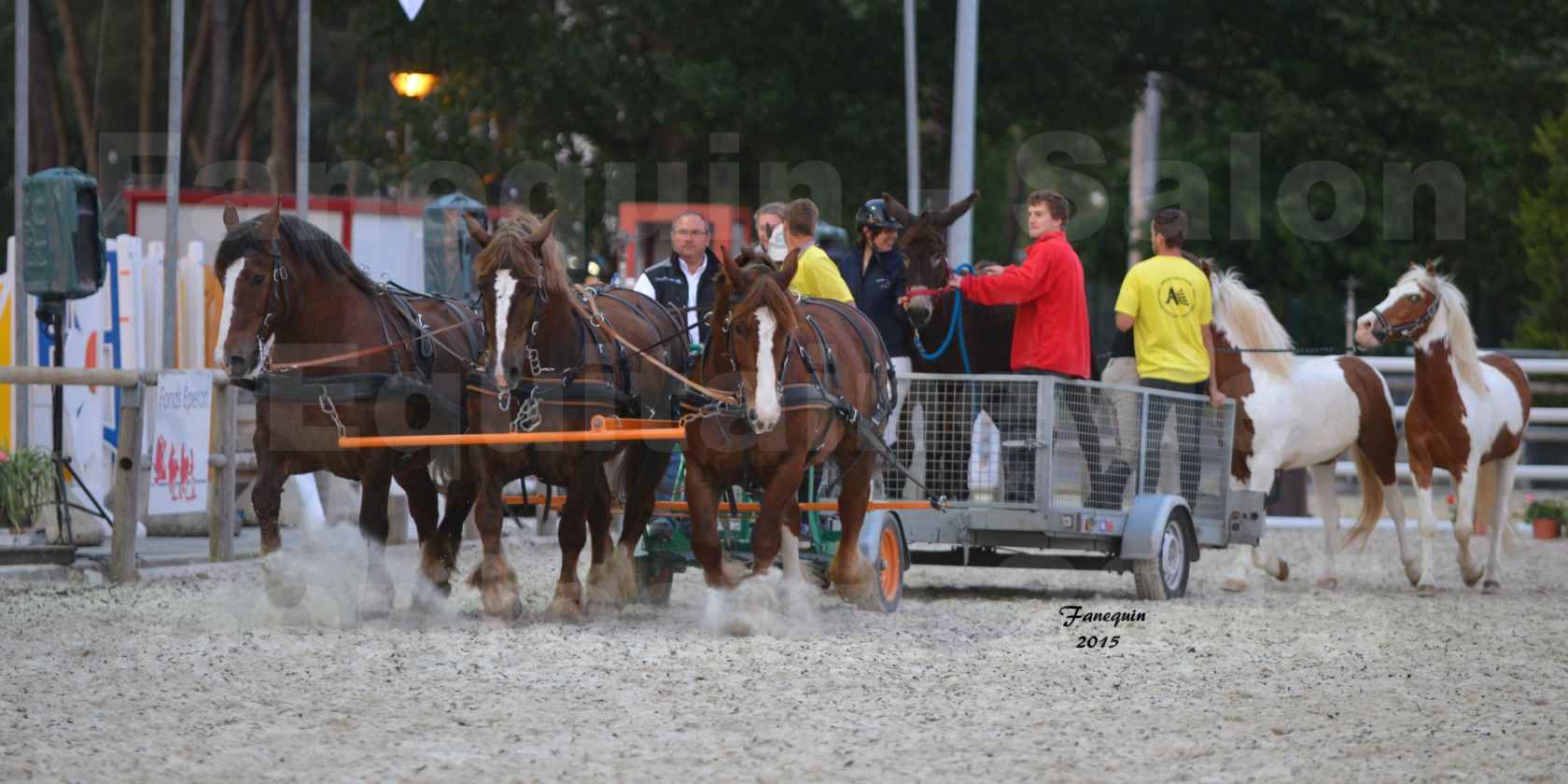 Salon Equitaine de Bordeaux 2015 - Démonstration d'attelage à 3 chevaux de front - 11