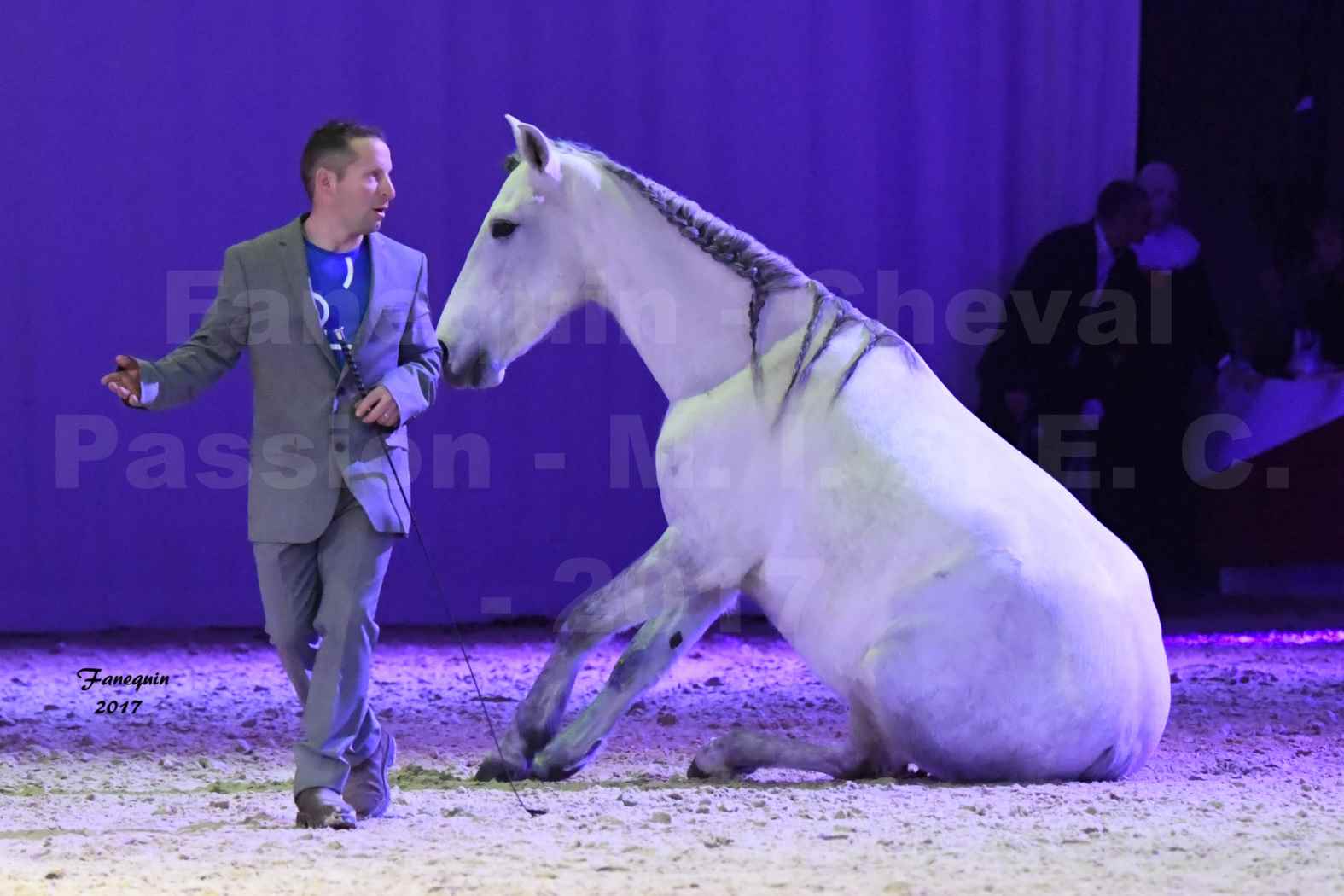 Cheval Passion 2017 - M. I. S. E. C. - Ludovic LONGO & 1 cheval en liberté - 15