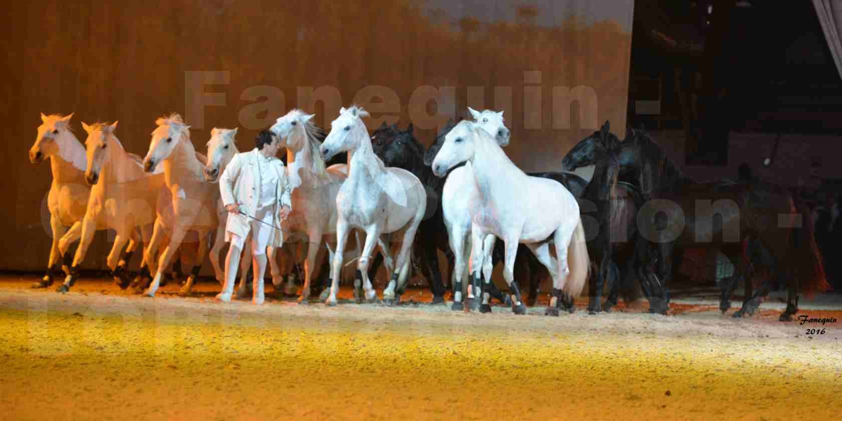 Cheval Passion 2016 - Spectacle les Crinières d'OR - LORENZO "Blanc" - représentation du 23 janvier 2016 - 44