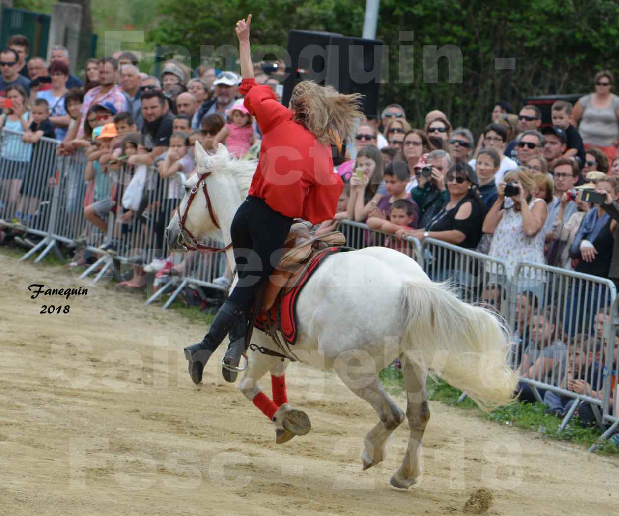 Spectacle Équestre le 3 juin 2018 à Saint Gély du Fesc - Voltige équestre - Troupe de Jean Antoine FIRMIN - 09