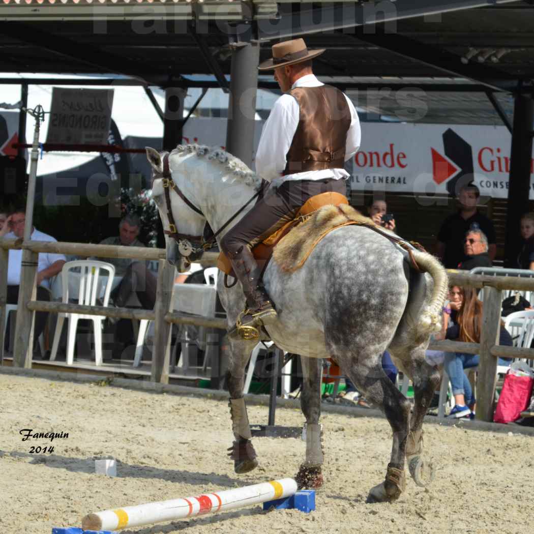 Salon Equitaine de Bordeaux en 2014 - concours Equitation de travail - Épreuve de Maniabilité chronométré - P - 28