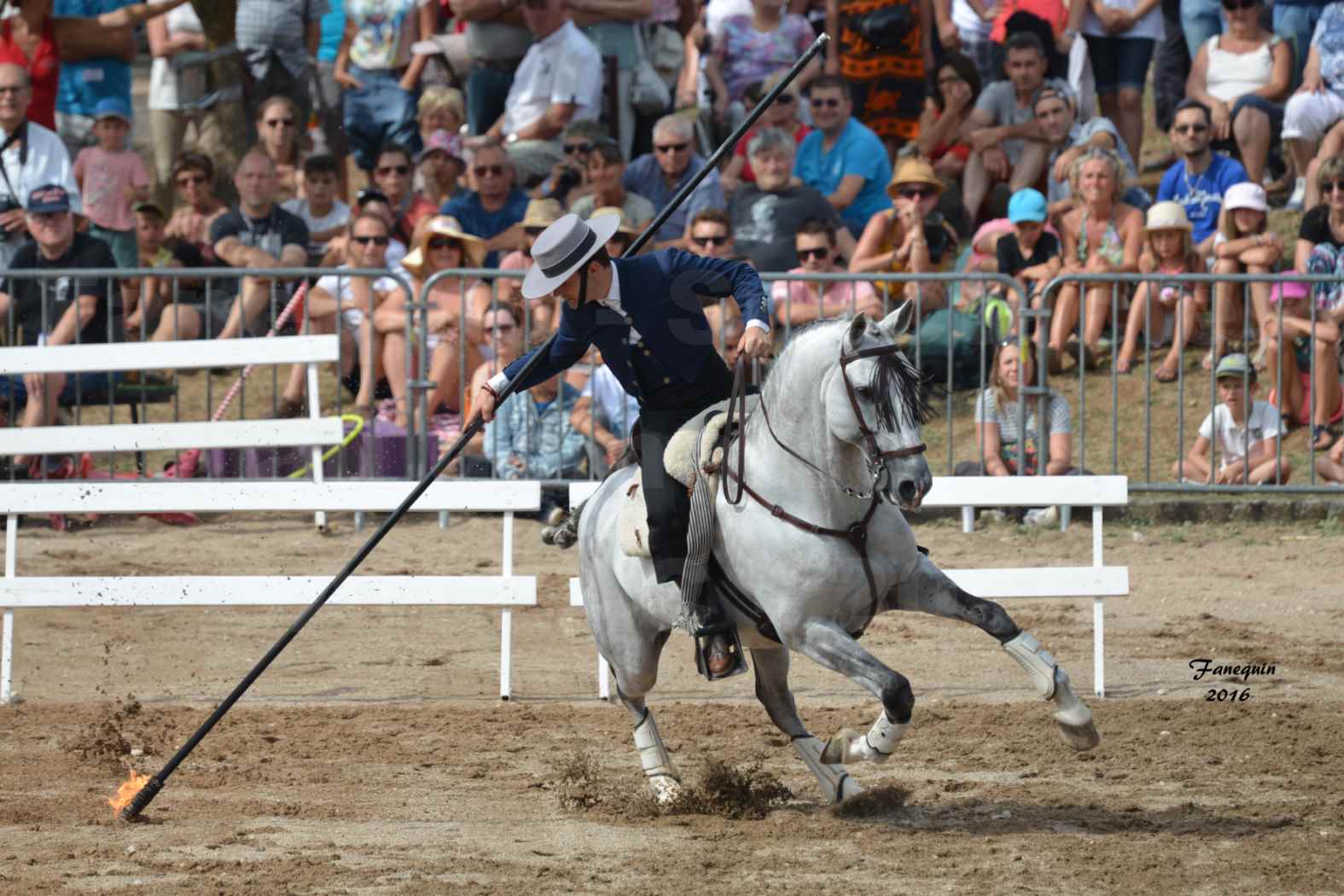 Spectacle équestre le 4 Septembre 2016 au Domaine de GAILLAC - Démonstration de Doma Vaquera - 12