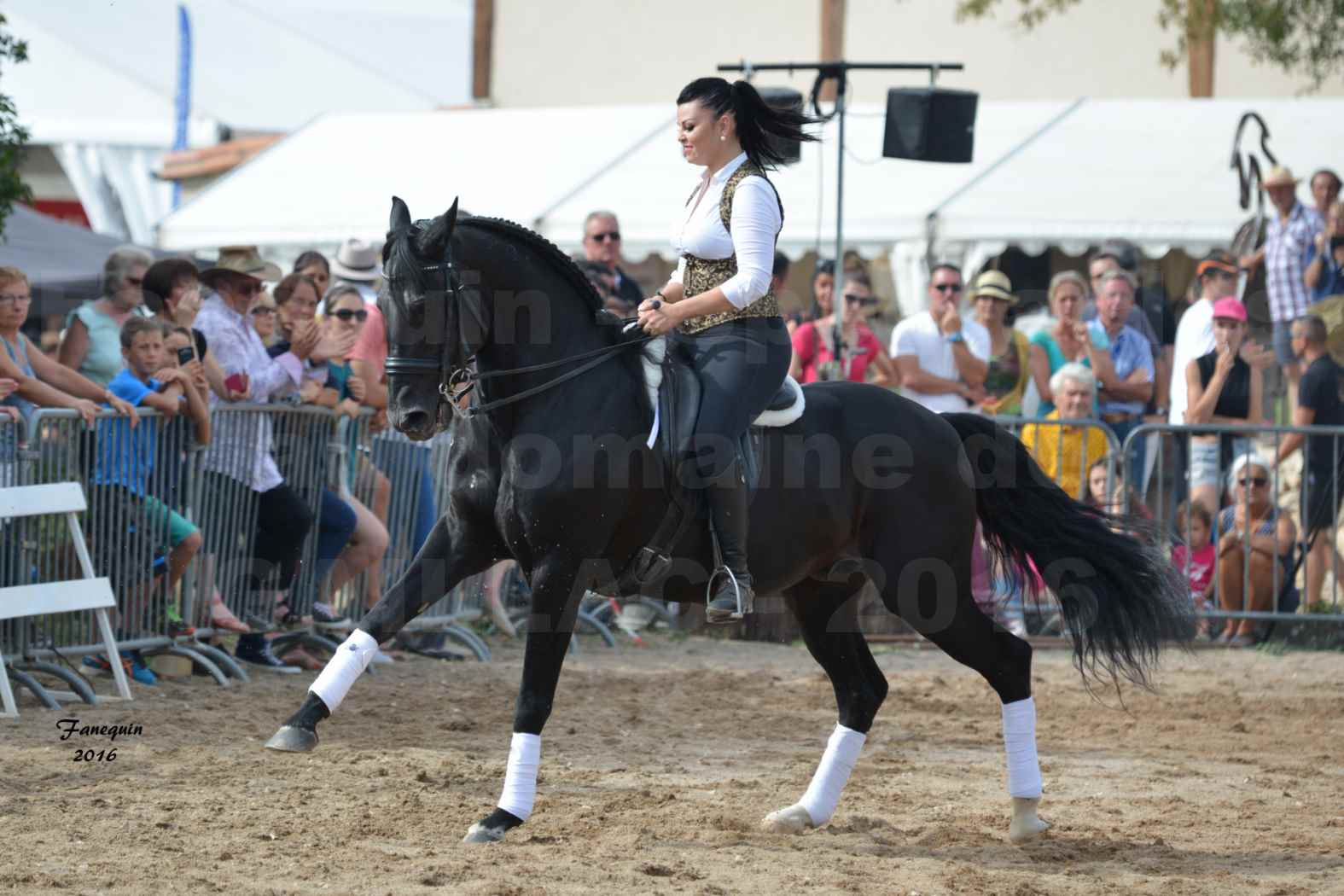 Spectacle équestre le 3 Septembre 2016 au Domaine de GAILLAC - Cavalières HASTALUEGO en reprise - 8