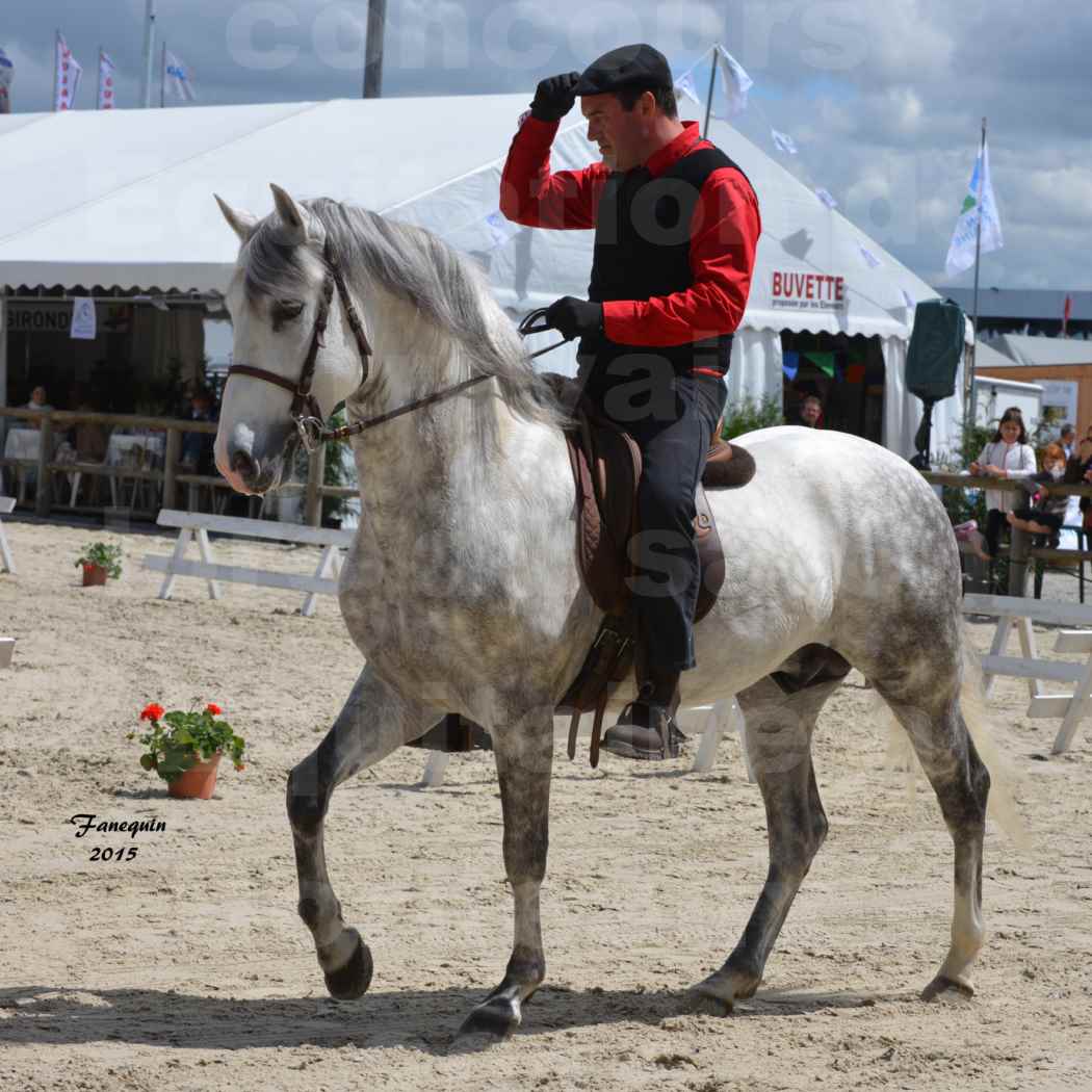 Salon Equitaine de Bordeaux 2015 - Concours d'Equitation de Travail avec chevaux Ibériques - Q - 1