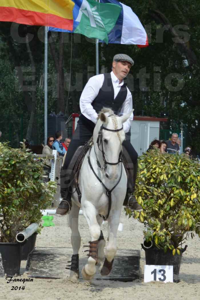 Salon Equitaine de Bordeaux en 2014 - concours Equitation de travail - Épreuve de Maniabilité chronométré - H - 16