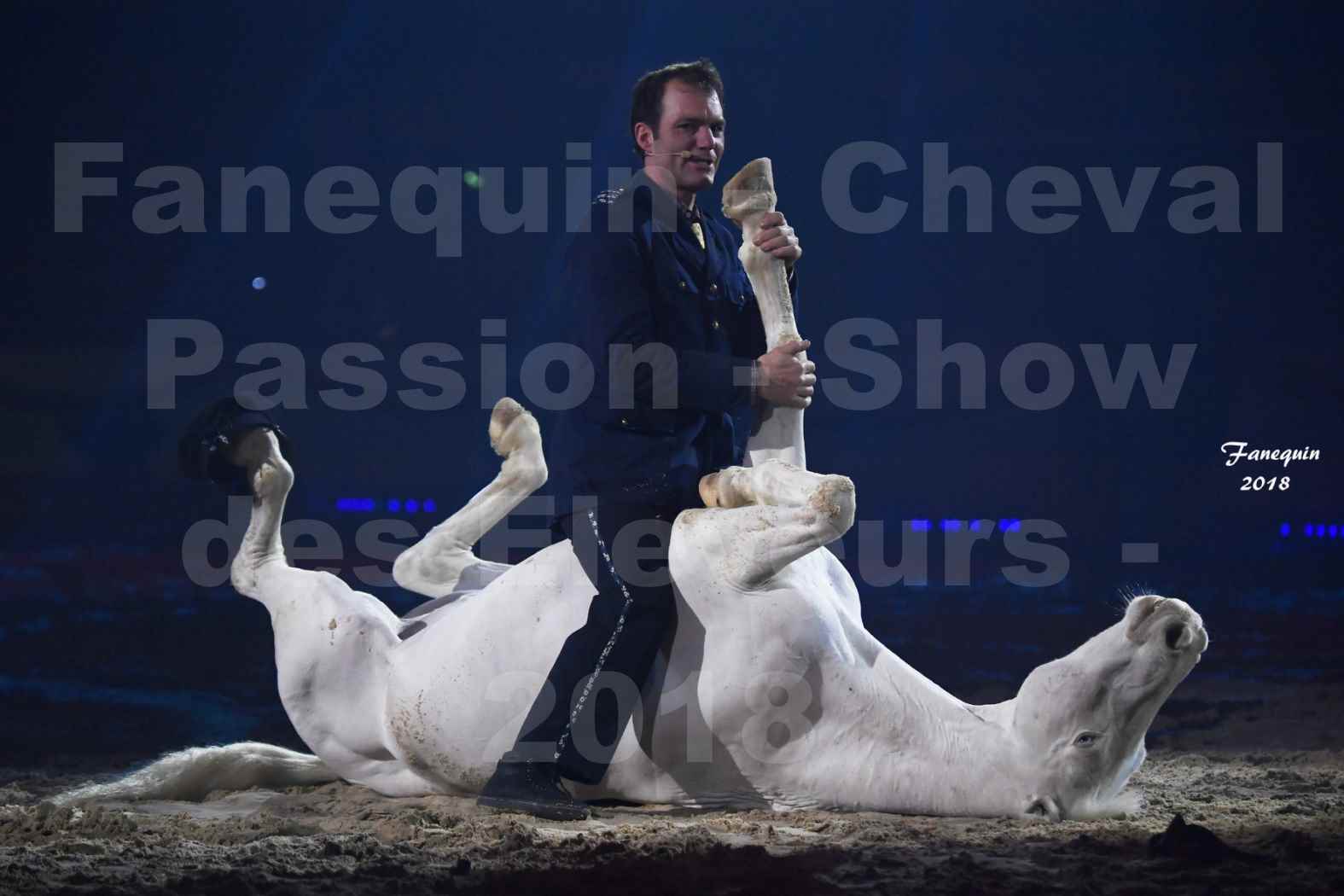 Cheval Passion 2018 - Spectacle les Crinières d'OR - Le FACTEUR 3 - 07