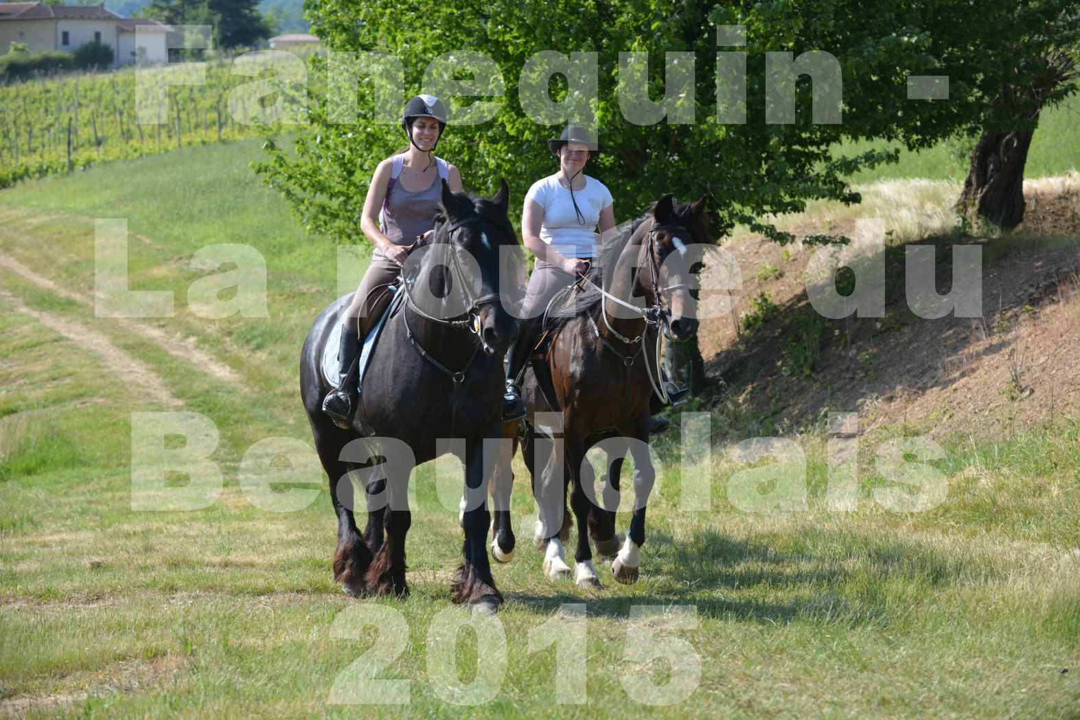 La Route Du Beaujolais 2015 - dimanche 24 mai 2015 - parcours en matinée - 66