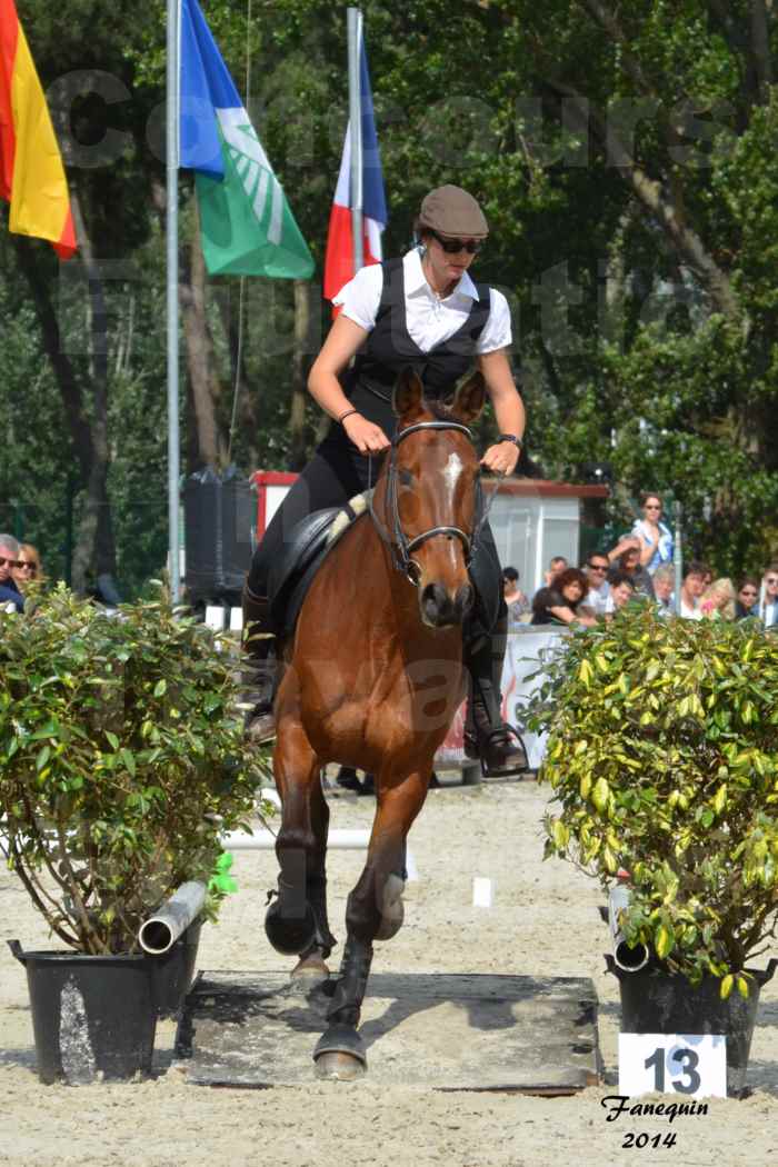 Salon Equitaine de Bordeaux en 2014 - concours Equitation de travail - Épreuve de Maniabilité chronométré - K - 5