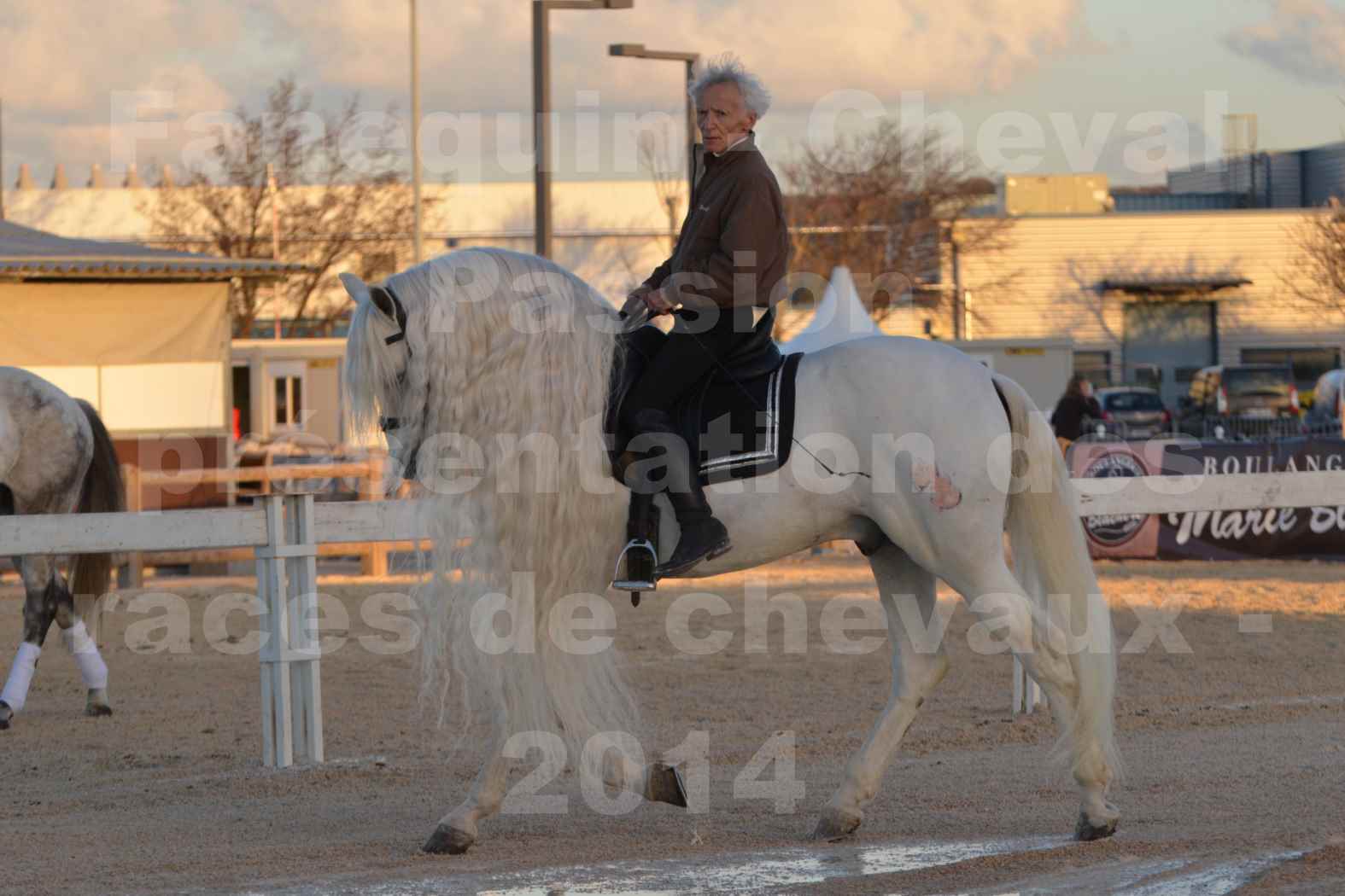 Cheval Passion 2014 - Etalon "GALAN"  blanc écurie Alain LAUZIER - Notre Sélection - 12