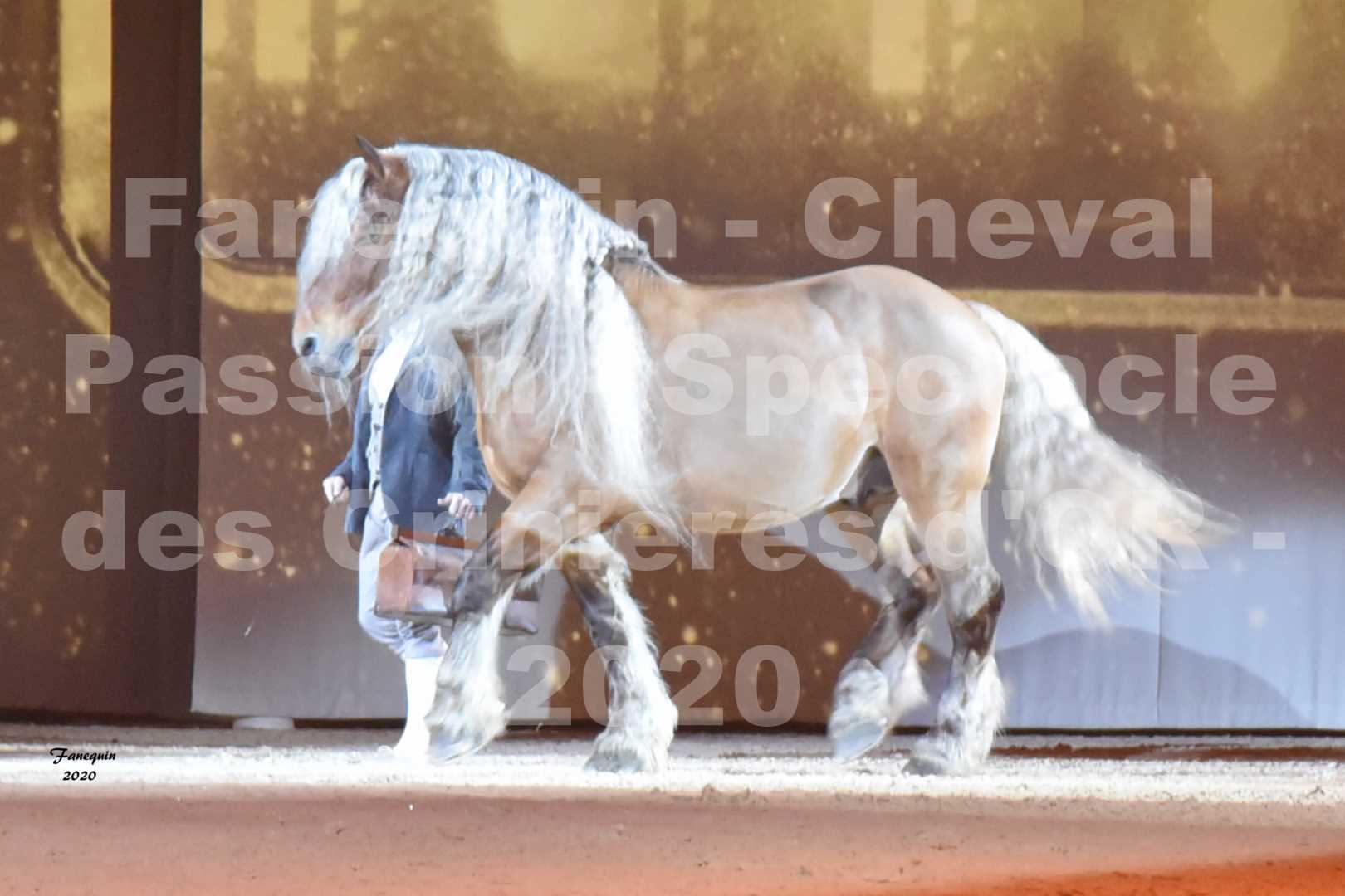 Cheval Passion 2020 - Les Crinières d'OR - Samuel HAFRAD & Jérôme SEFER - 01