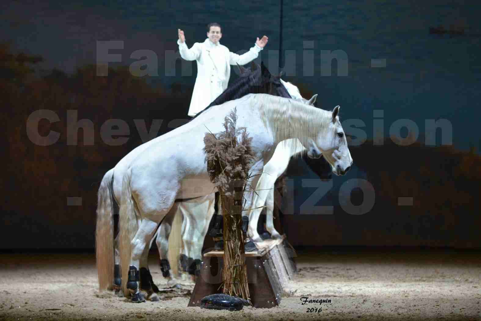 Cheval Passion 2016 - Spectacle les Crinières d'OR - LORENZO "Blanc" - représentation du 20 janvier 2016 - 42