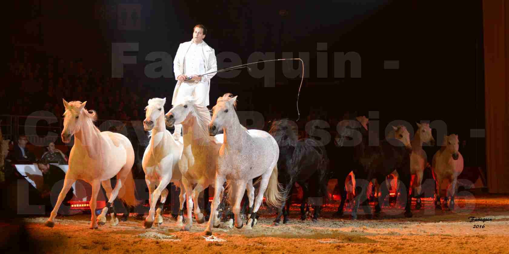 Cheval Passion 2016 - Spectacle les Crinières d'OR - LORENZO "Blanc" - représentation du 20 janvier 2016 - 34