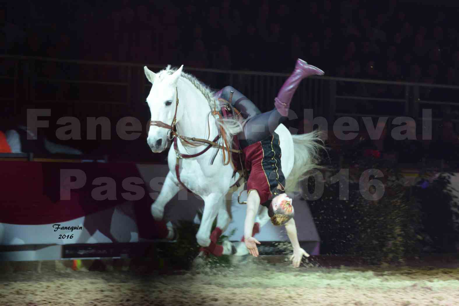 Cheval Passion 2016 - Spectacle les Crinières d'OR - Troupe JEHOL - 5