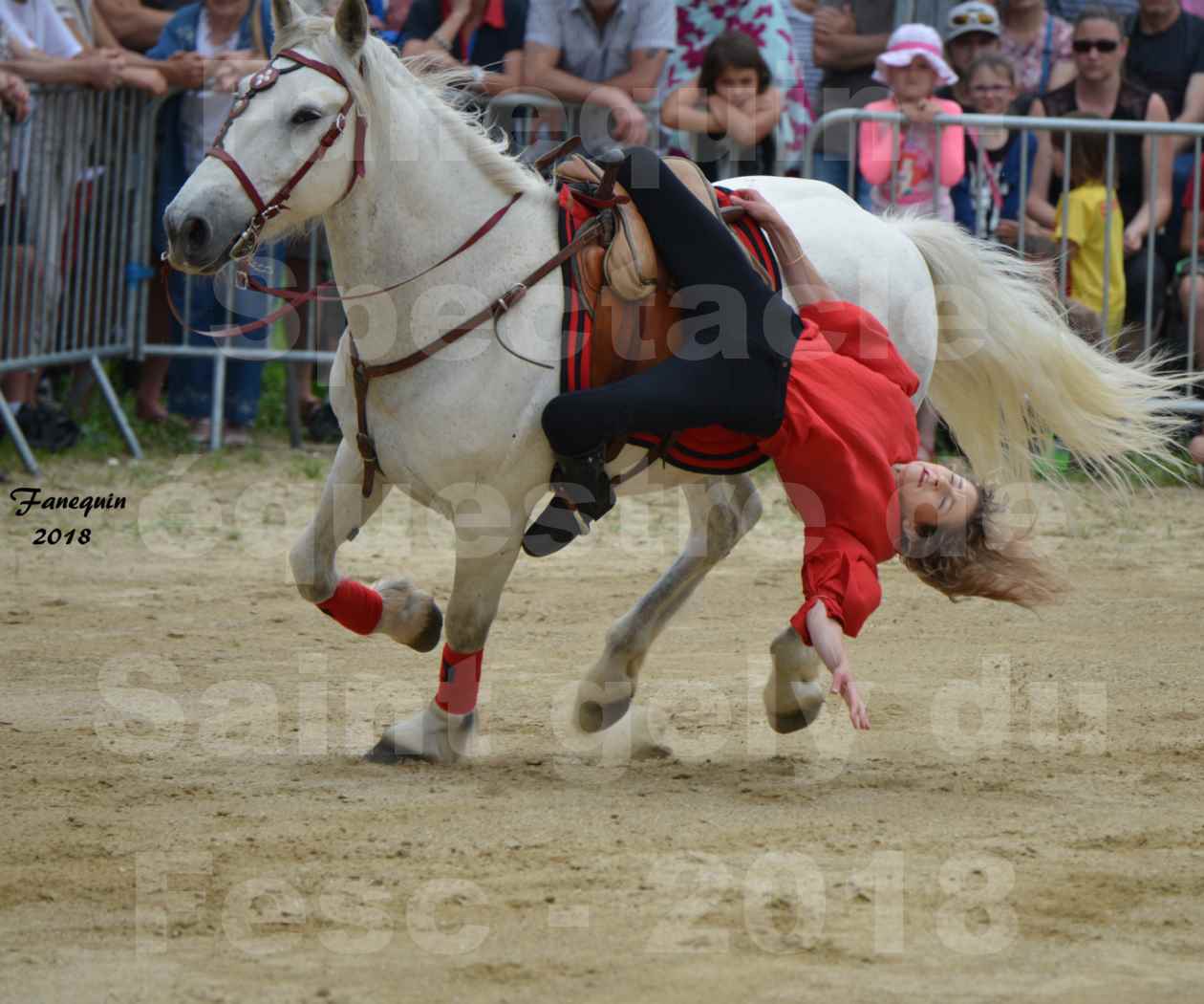 Spectacle Équestre le 3 juin 2018 à Saint Gély du Fesc - Voltige équestre - Troupe de Jean Antoine FIRMIN - 54