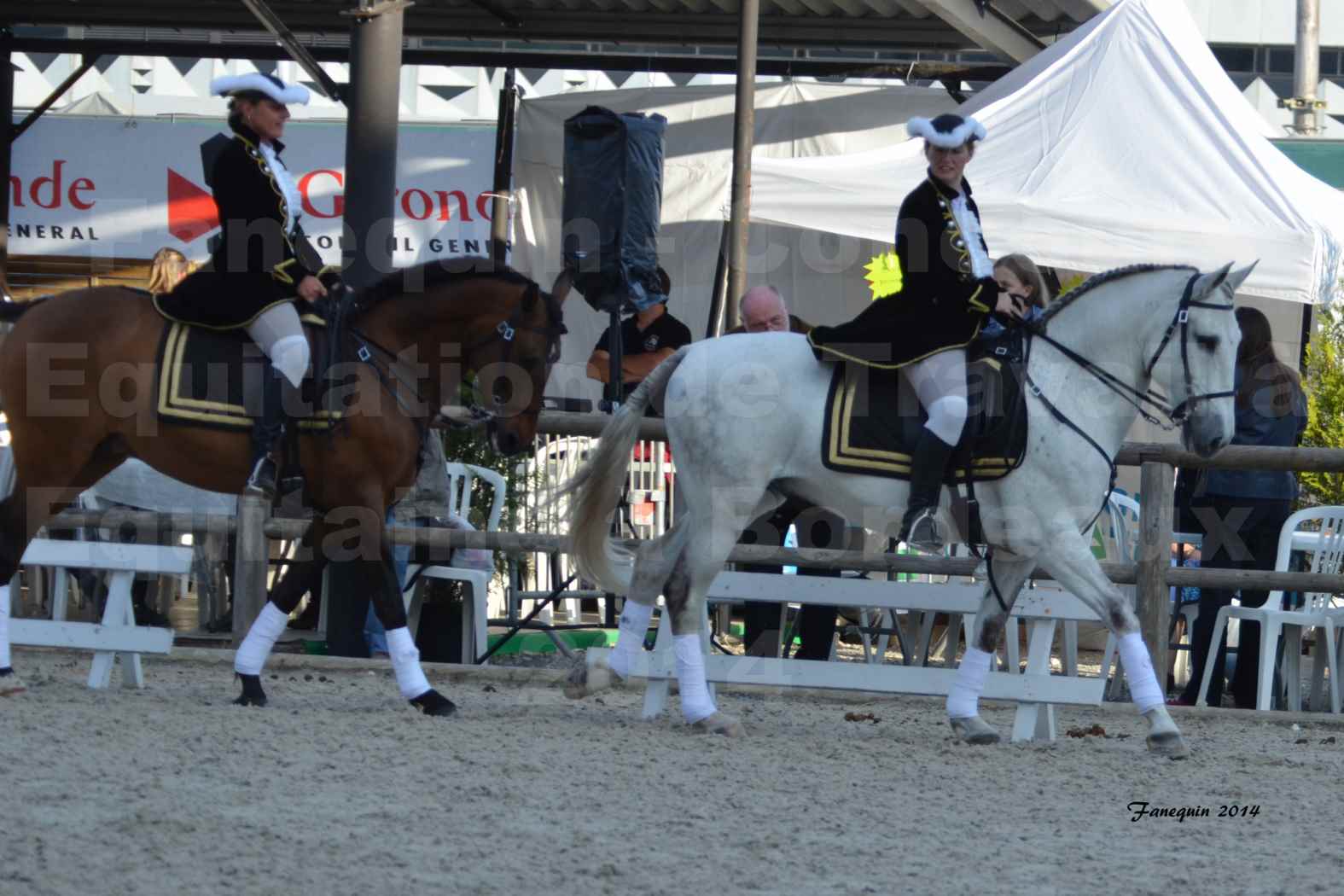 Carrousel de cavalières Equitation de travail lors du salon "Equitaine" à Bordeaux en 2014 - 47