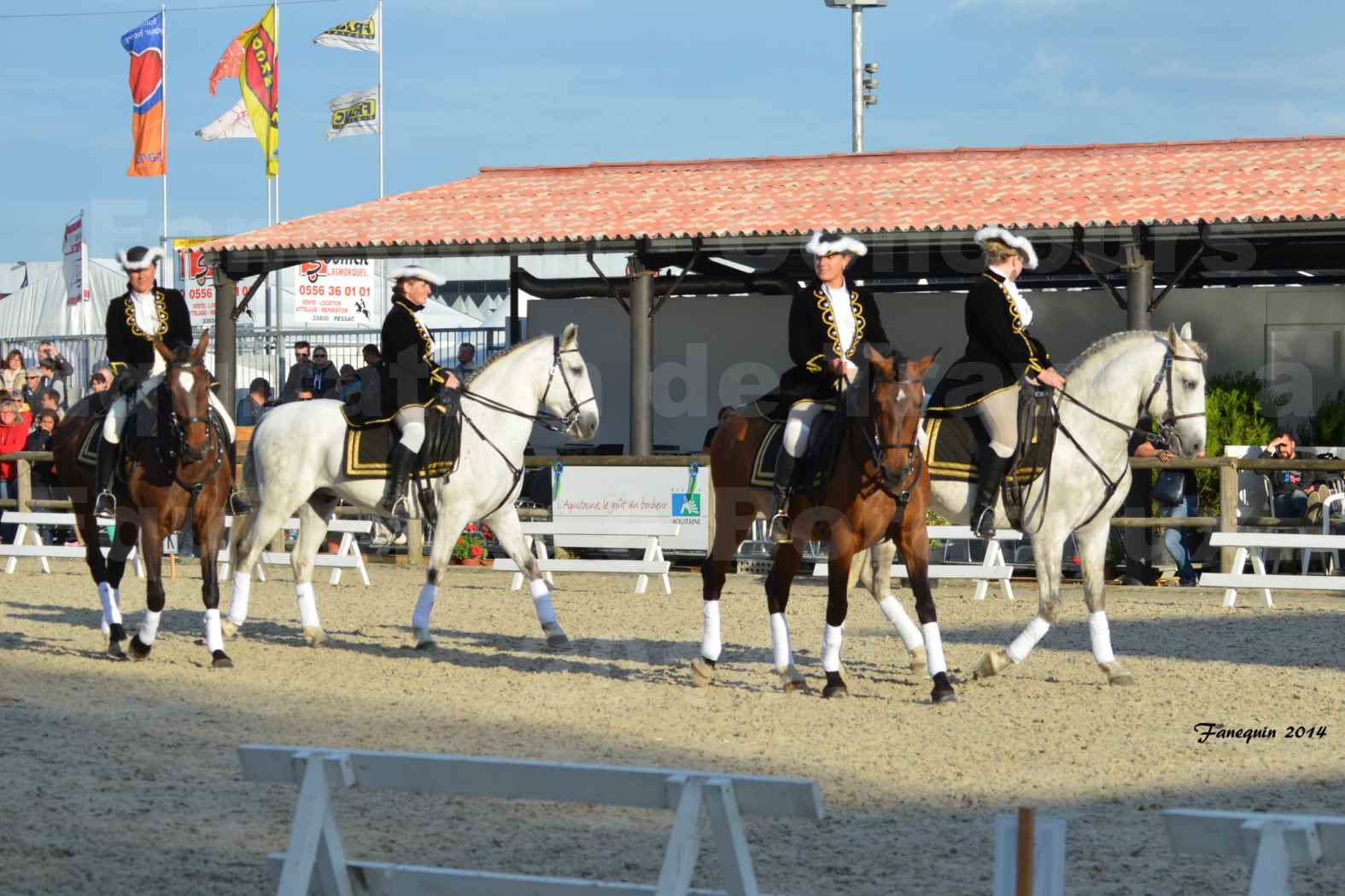 Carrousel de cavalières Equitation de travail lors du salon "Equitaine" à Bordeaux en 2014 - 05