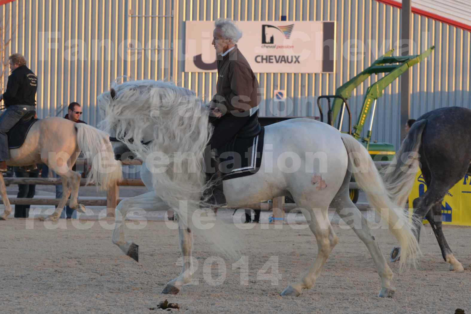 Cheval Passion 2014 - Etalon "GALAN"  blanc écurie Alain LAUZIER - Notre Sélection - 19