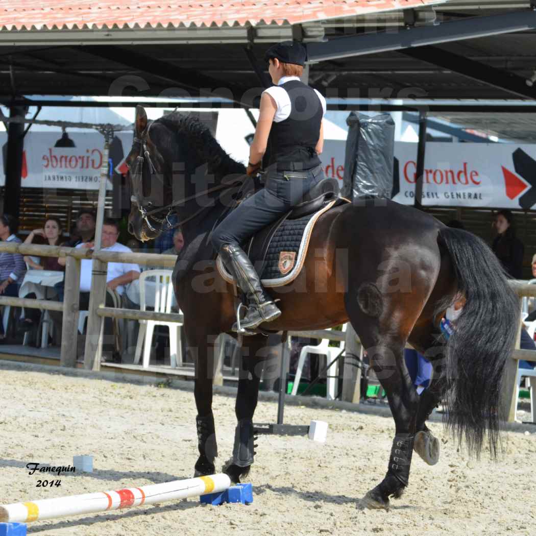 Salon Equitaine de Bordeaux en 2014 - concours Equitation de travail - Épreuve de Maniabilité chronométré - M - 09