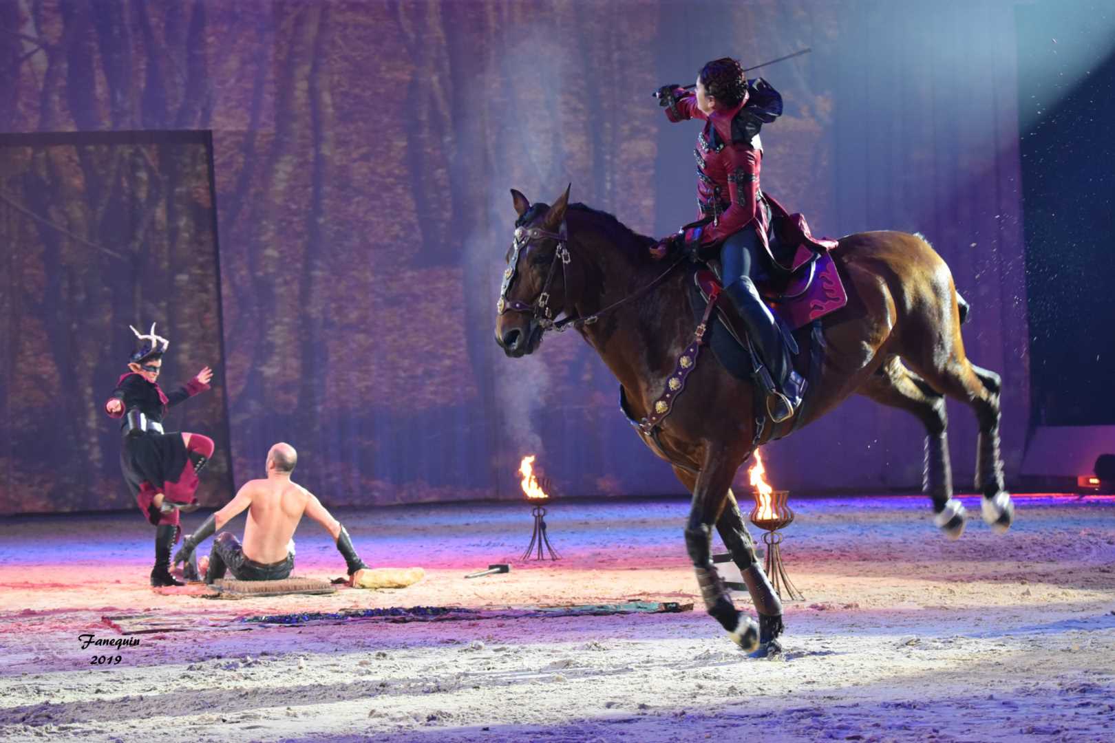 Cheval Passion 2019 - M.I.S.E.C. - Frédérique VIGNE - 10