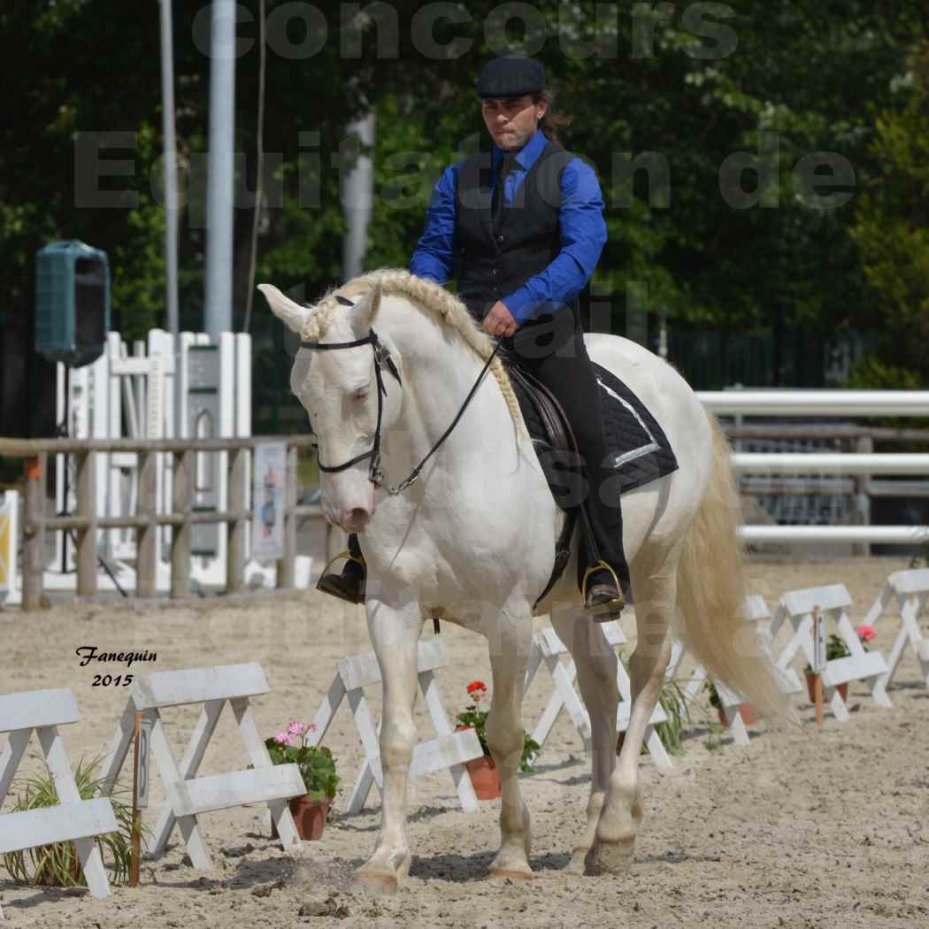 Salon Equitaine de Bordeaux 2015 - Concours d'Equitation de Travail avec chevaux Ibériques - B - 3