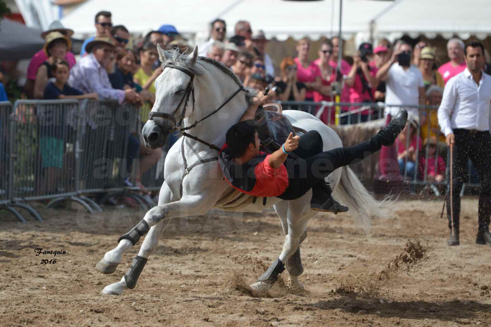 Spectacle équestre le 3 Septembre 2016 au Domaine de GAILLAC - voltige équestre avec la famille HASTALUEGO - 07