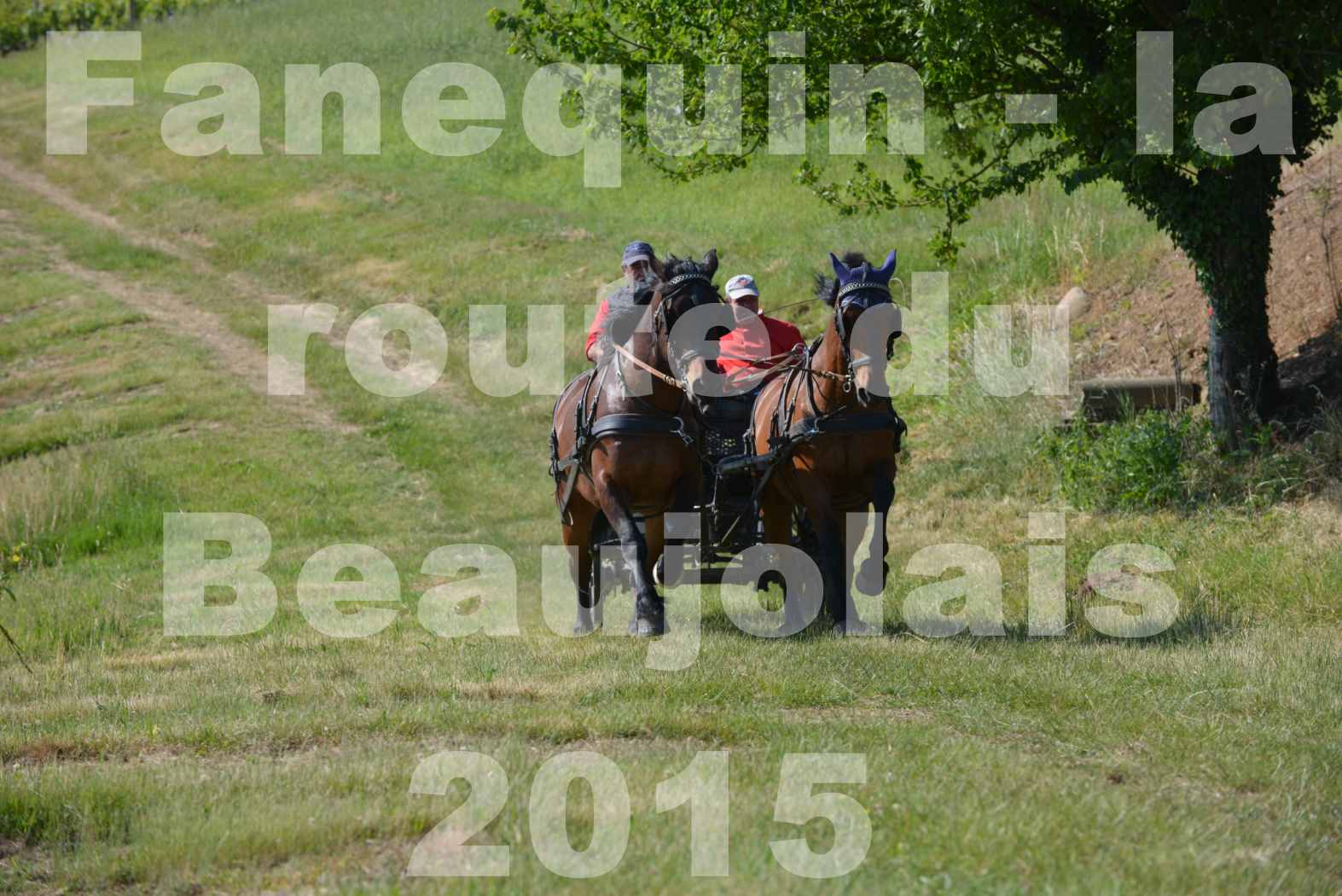 La Route Du Beaujolais 2015 - dimanche 24 mai 2015 - parcours en matinée - 09