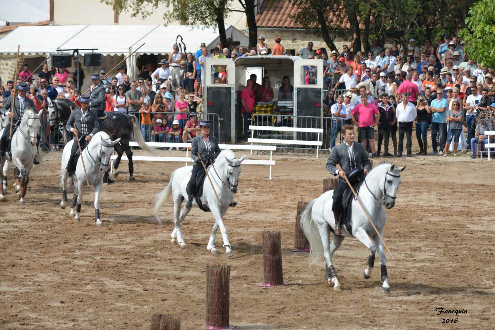 Spectacle équestre le 4 Septembre 2016 au Domaine de GAILLAC - Démonstration de CARROUSEL de chevaux LUSITANIENS - 21