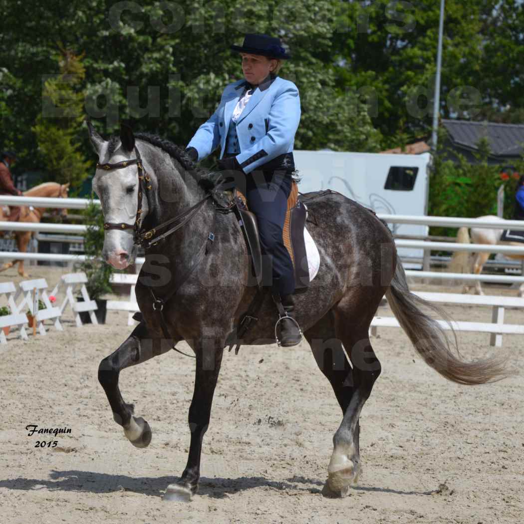 Salon Equitaine de Bordeaux 2015 - Concours d'Equitation de Travail avec chevaux Ibériques - P - 3