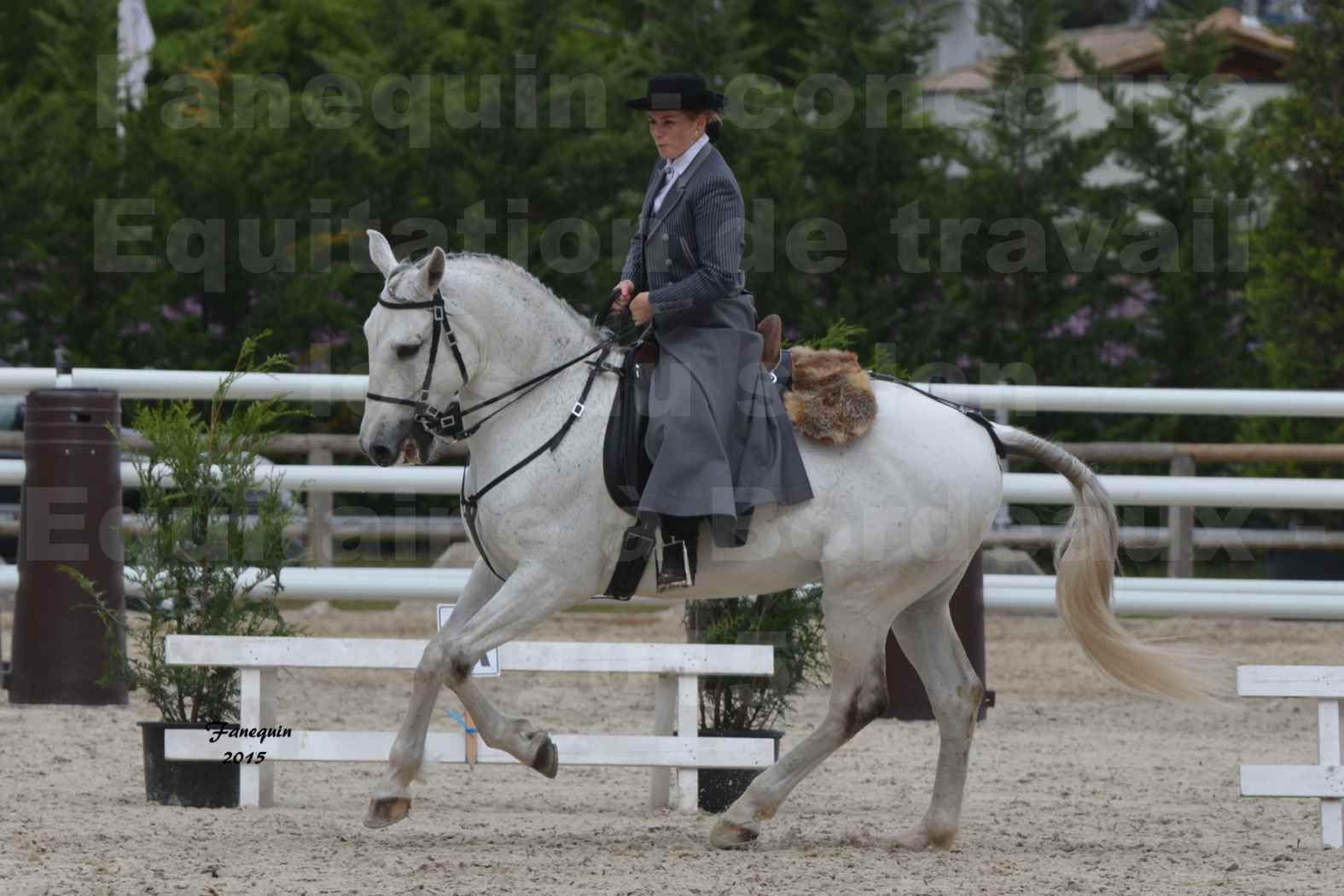 Salon Equitaine de Bordeaux 2015 - Concours d'Equitation de Travail avec chevaux Ibériques - W - 1