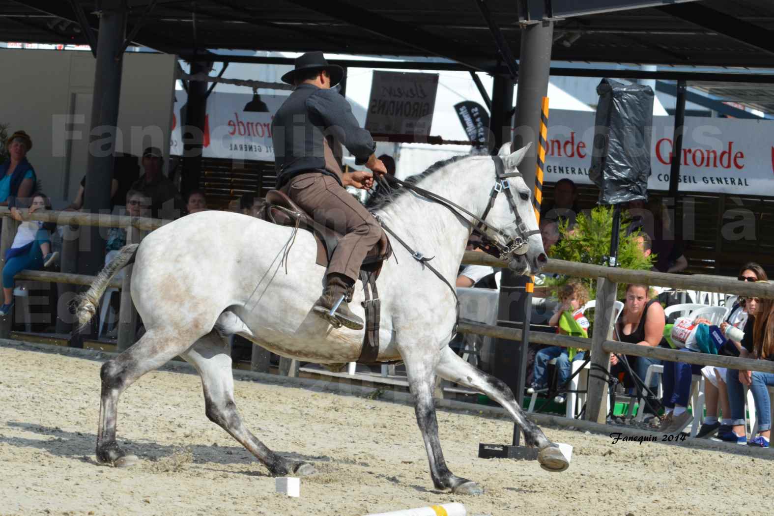 Salon Equitaine de Bordeaux en 2014 - concours Equitation de travail - Épreuve de Maniabilité chronométré - L - 1