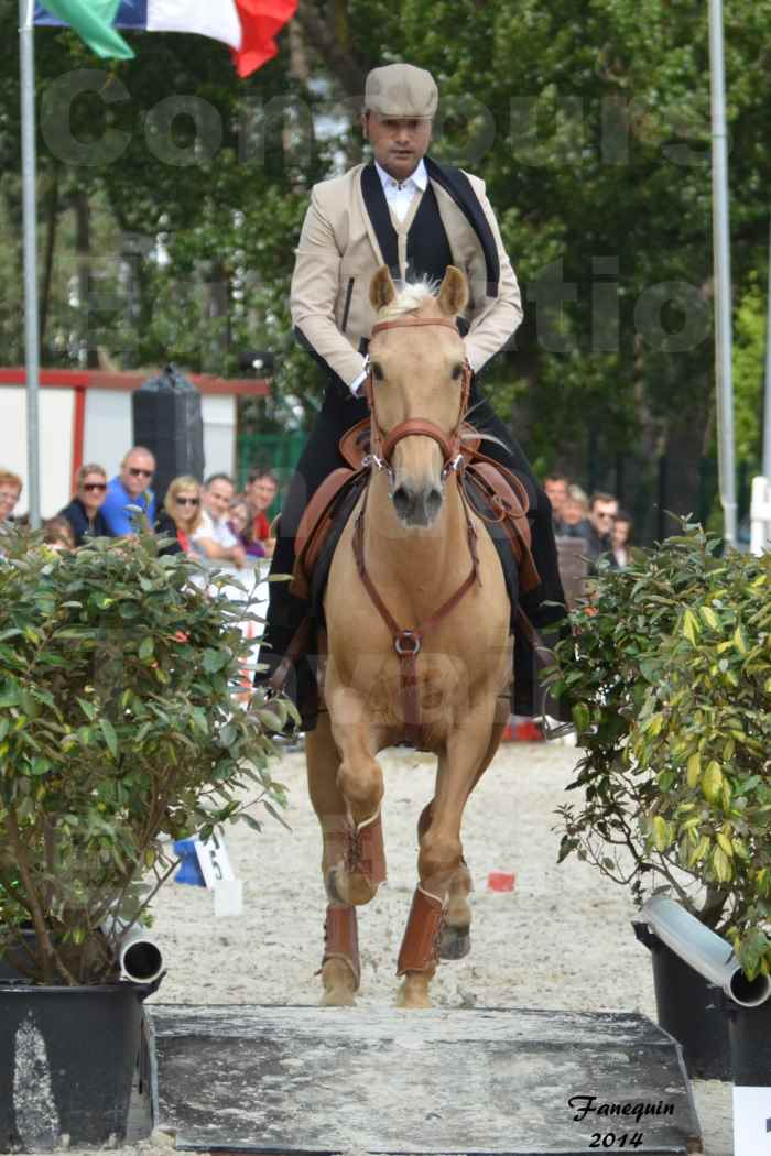 Salon Equitaine de Bordeaux en 2014 - concours Equitation de travail - Épreuve de Maniabilité chronométré - D - 14