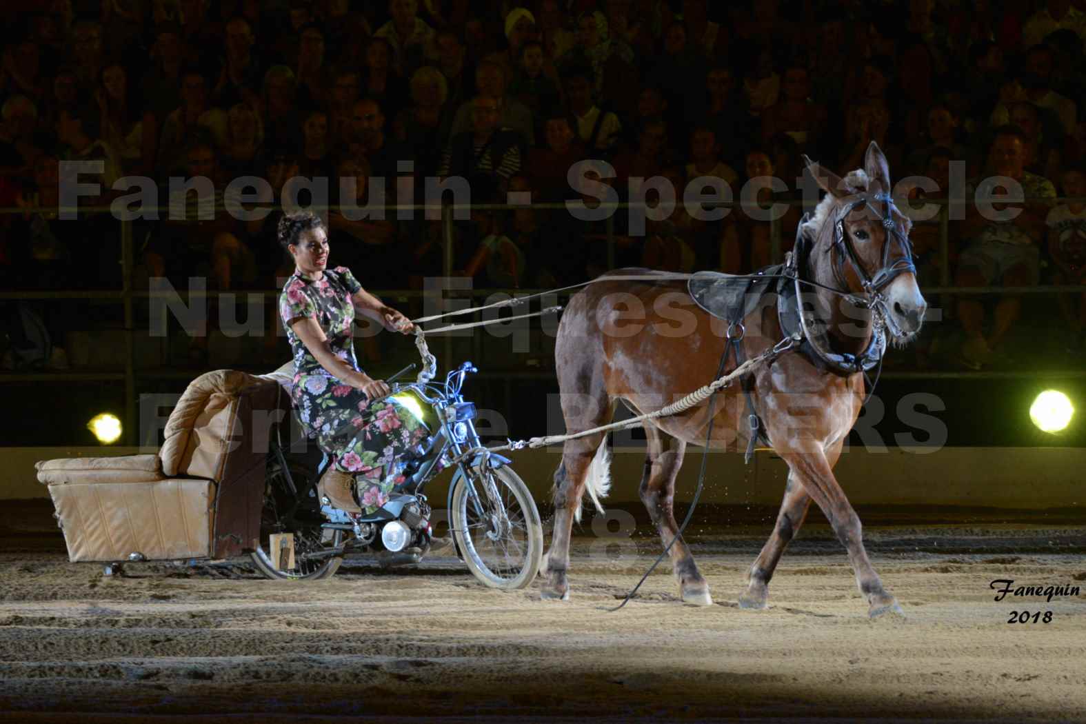 Nuits Équestres"  de la Féria de BÉZIERS 2018 - Samedi 11 Août - "La MÛLE" - 7