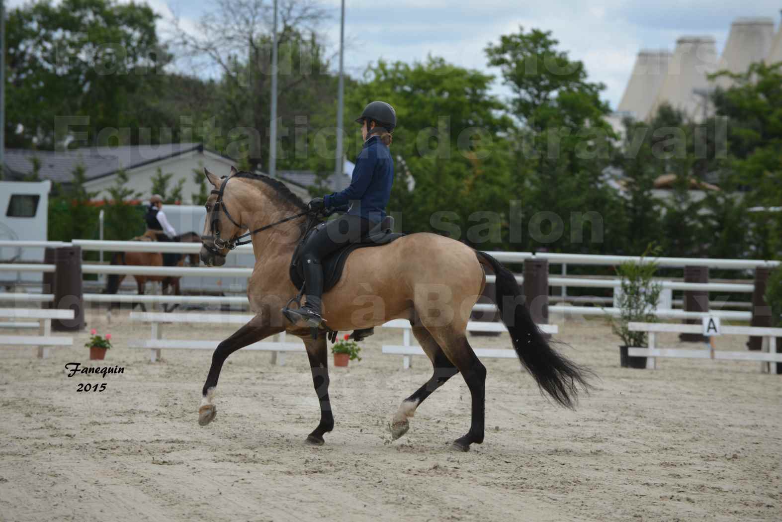 Salon Equitaine de Bordeaux 2015 - Concours d'Equitation de Travail avec chevaux Ibériques - R - 4