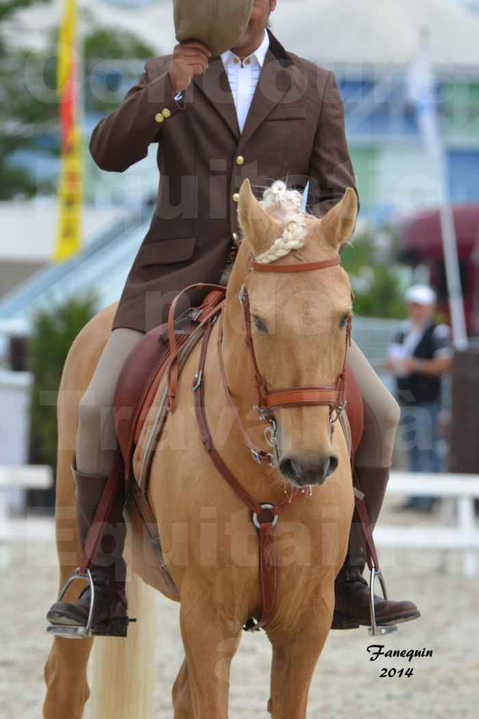 Salon Equitaine Bordeaux 2014 - Portraits de chevaux d'Equitation de travail - 24