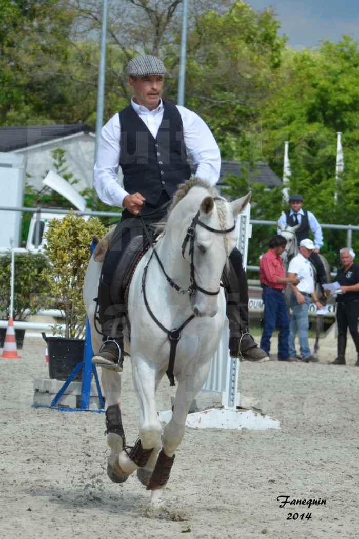 Salon Equitaine de Bordeaux en 2014 - concours Equitation de travail - Épreuve de Maniabilité chronométré - H - 05