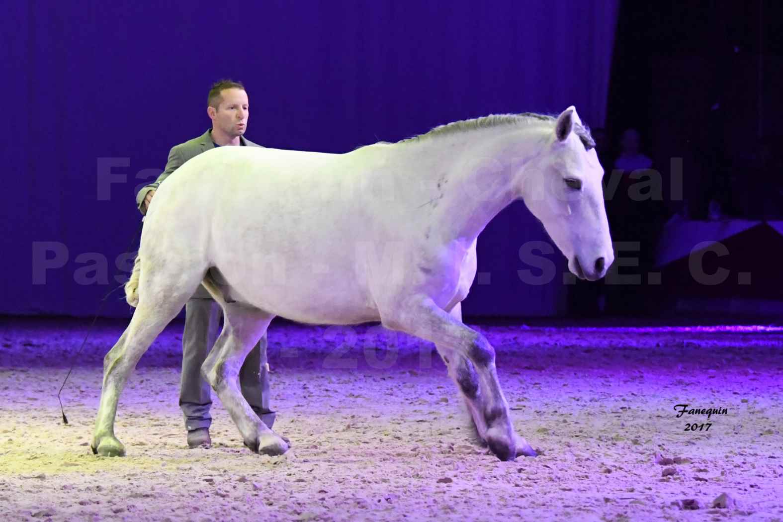 Cheval Passion 2017 - M. I. S. E. C. - Ludovic LONGO & 1 cheval en liberté - 04