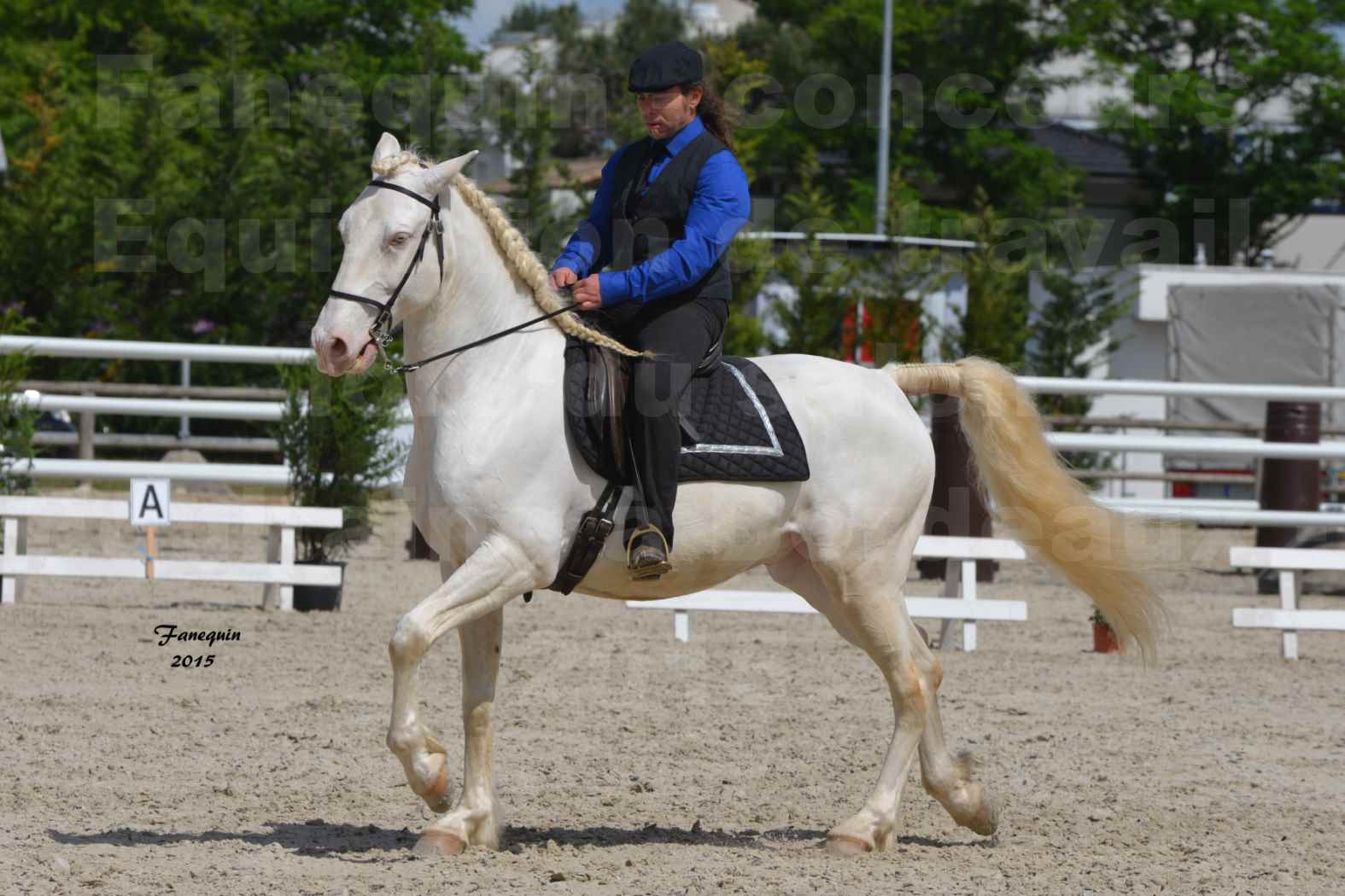 Salon Equitaine de Bordeaux 2015 - Concours d'Equitation de Travail avec chevaux Ibériques - B - 5