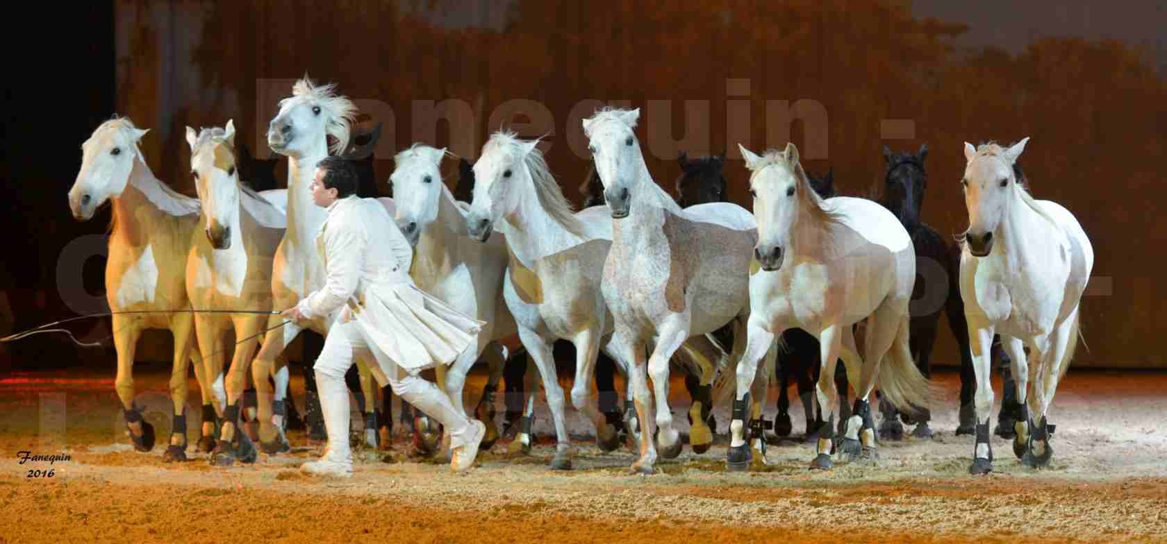 Cheval Passion 2016 - Spectacle les Crinières d'OR - LORENZO "Blanc" - représentation du 20 janvier 2016 - 45