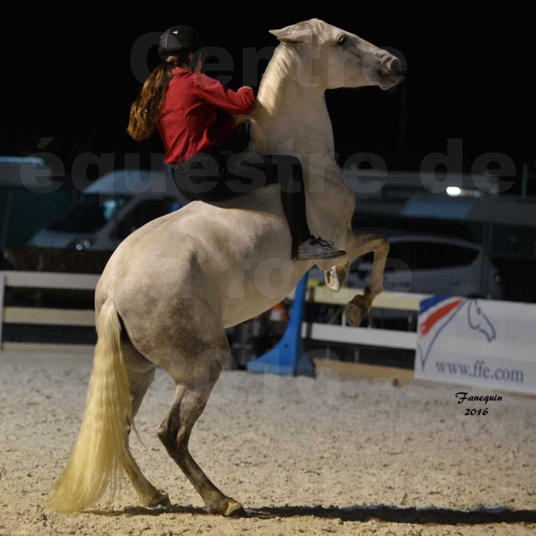 Centre équestre éphémère de la Foire de Montpellier 2016 - Mardi 11 Octobre 2016 - Spectacle Nocturne - 28