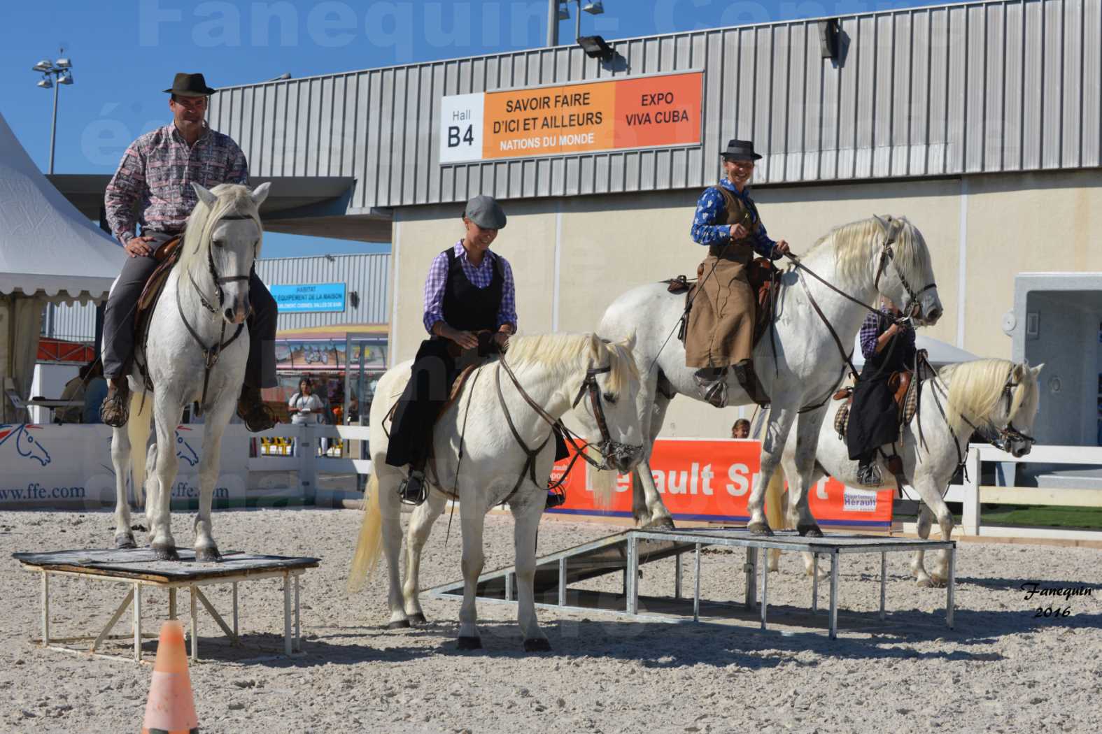 Centre équestre éphémère de la Foire de Montpellier 2016 - Dimanche 09 Octobre 2016 - Cavalières Camarguaises - 3