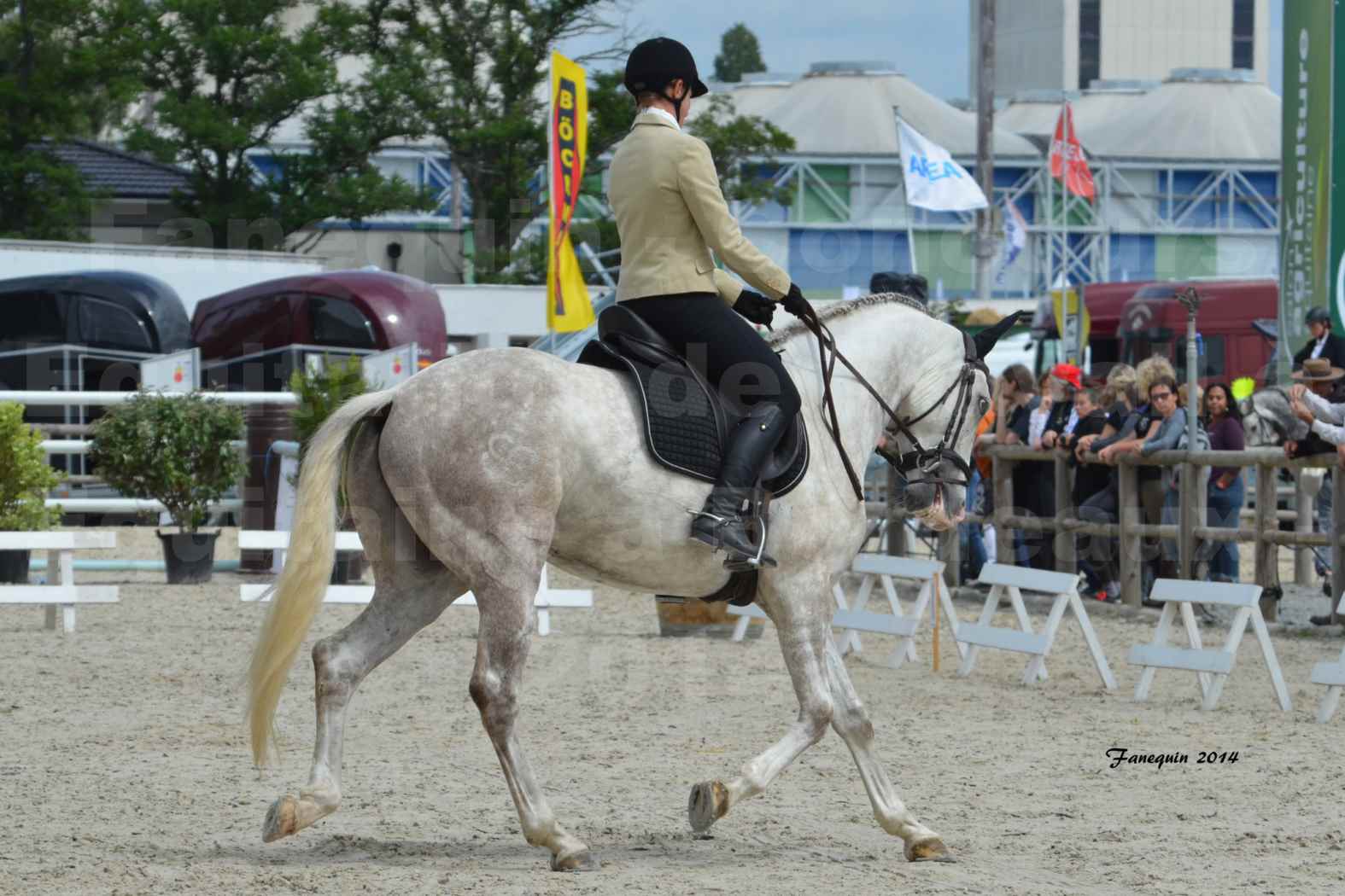 Salon Equitaine de Bordeaux en 2014 - concours Equitation de travail - Épreuve de Dressage - 05