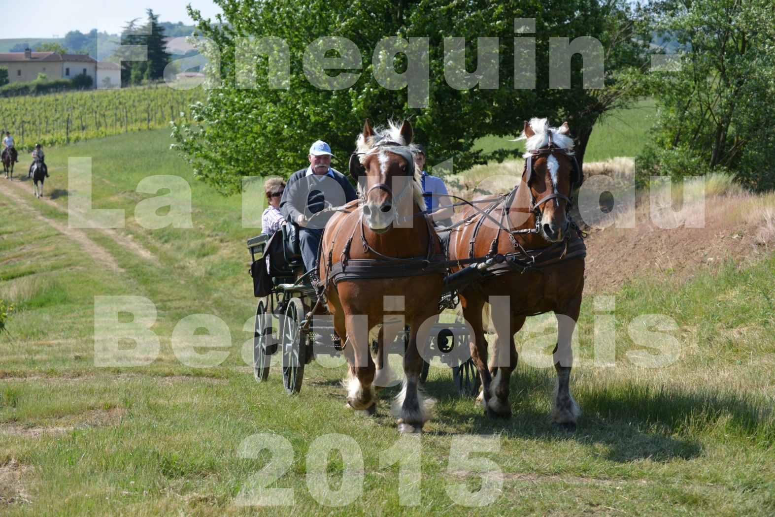 La Route Du Beaujolais 2015 - dimanche 24 mai 2015 - parcours en matinée - 64
