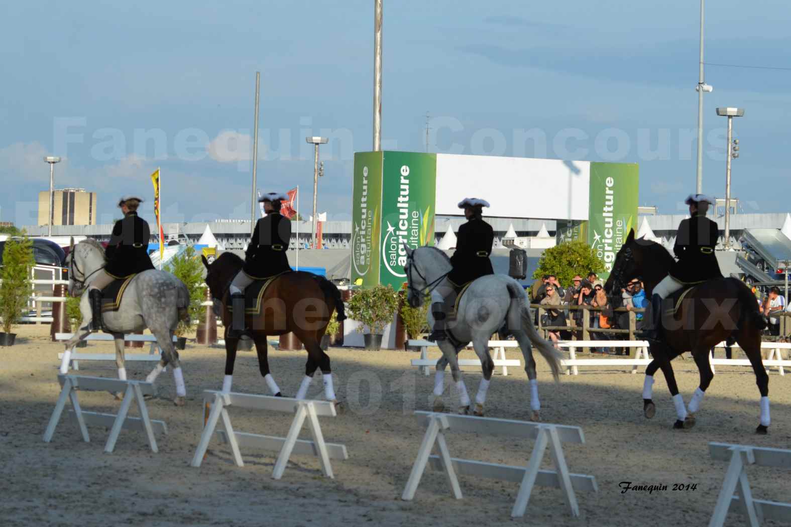 Carrousel de cavalières Equitation de travail lors du salon "Equitaine" à Bordeaux en 2014 - 16