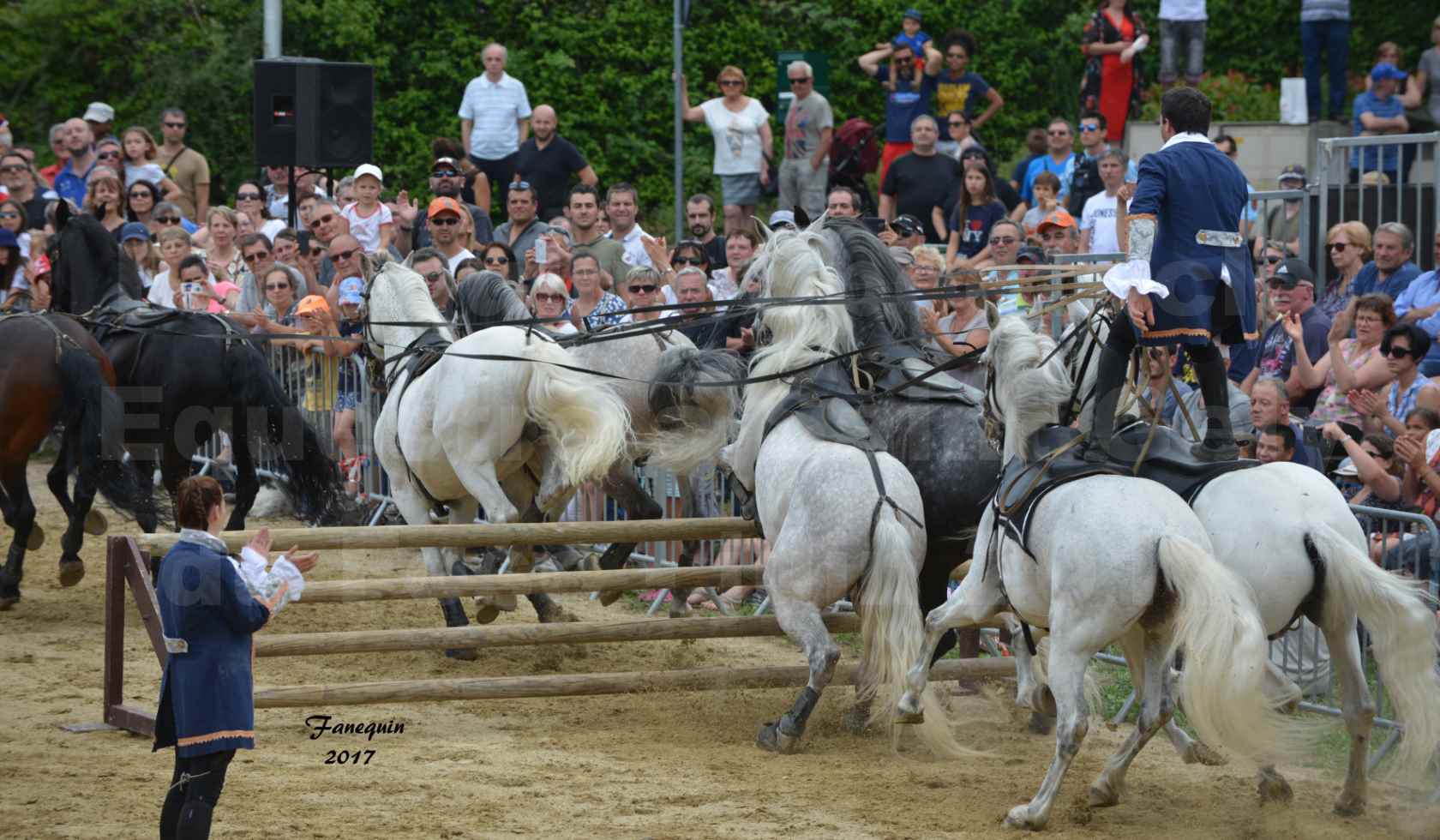 numéro de Poste HONGROISE avec 8 chevaux - Compagnie IMPULSION - Salon Pêche Chasse Nature à Saint Gély du Fesc juin 2017 - 14