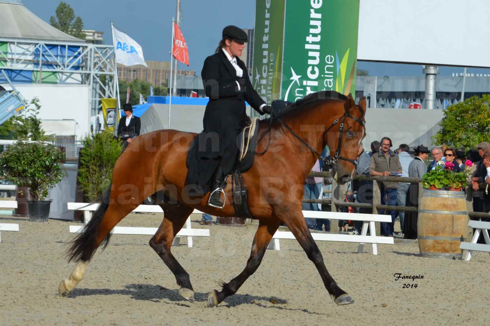 Salon Equitaine de Bordeaux en 2014 - concours Equitation de travail - Épreuve de Dressage - 13