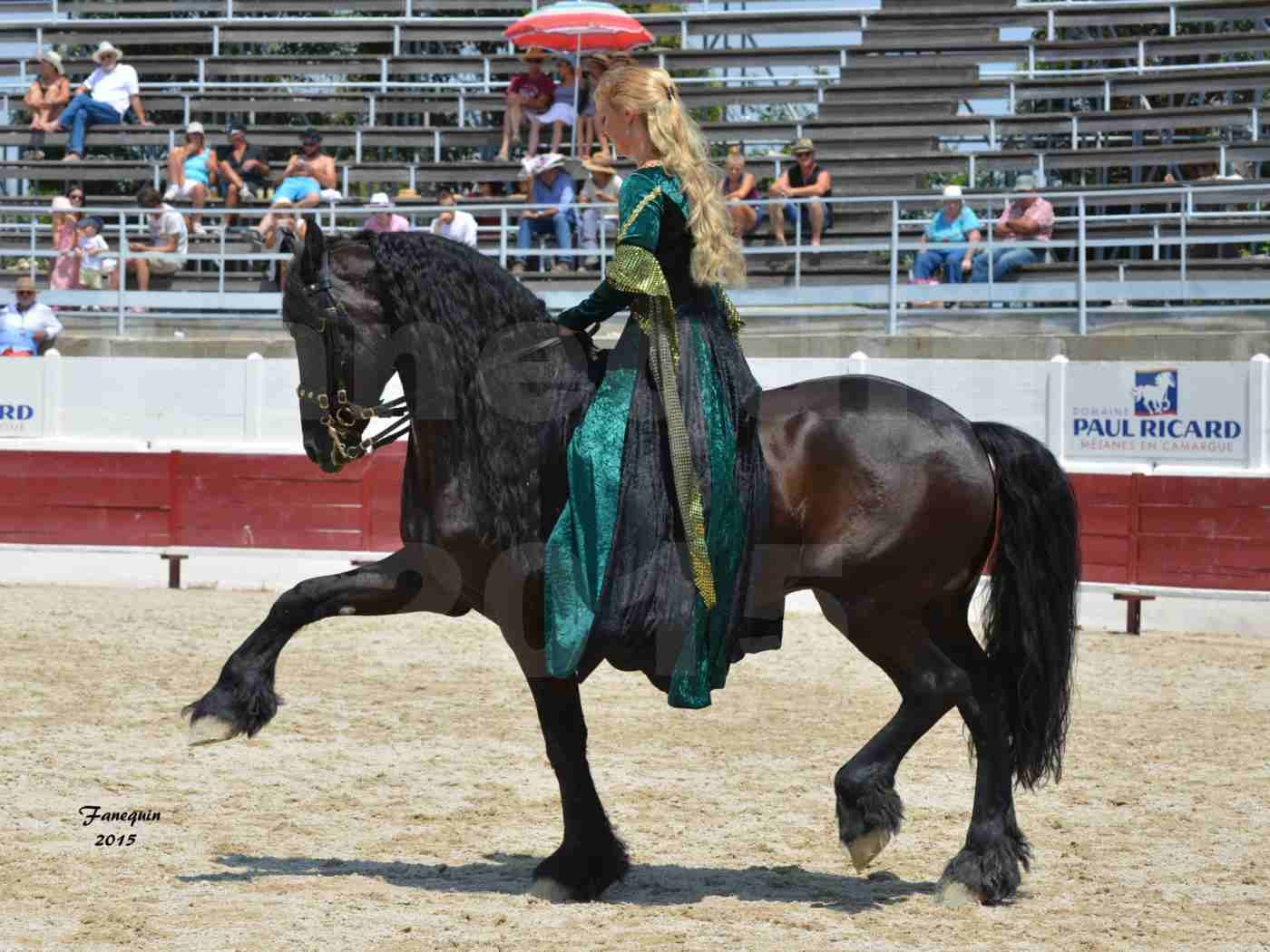 Féria du cheval à Méjanes en 2015 - Sylvie WILLMS - 03