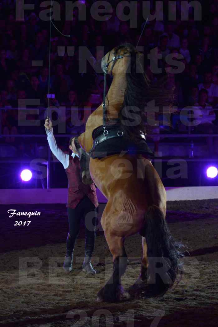 "Nuits Équestres" lors de la Féria de BEZIERS 2017 - Les Comtois en folie de Guillaume MAUVAIS - 5