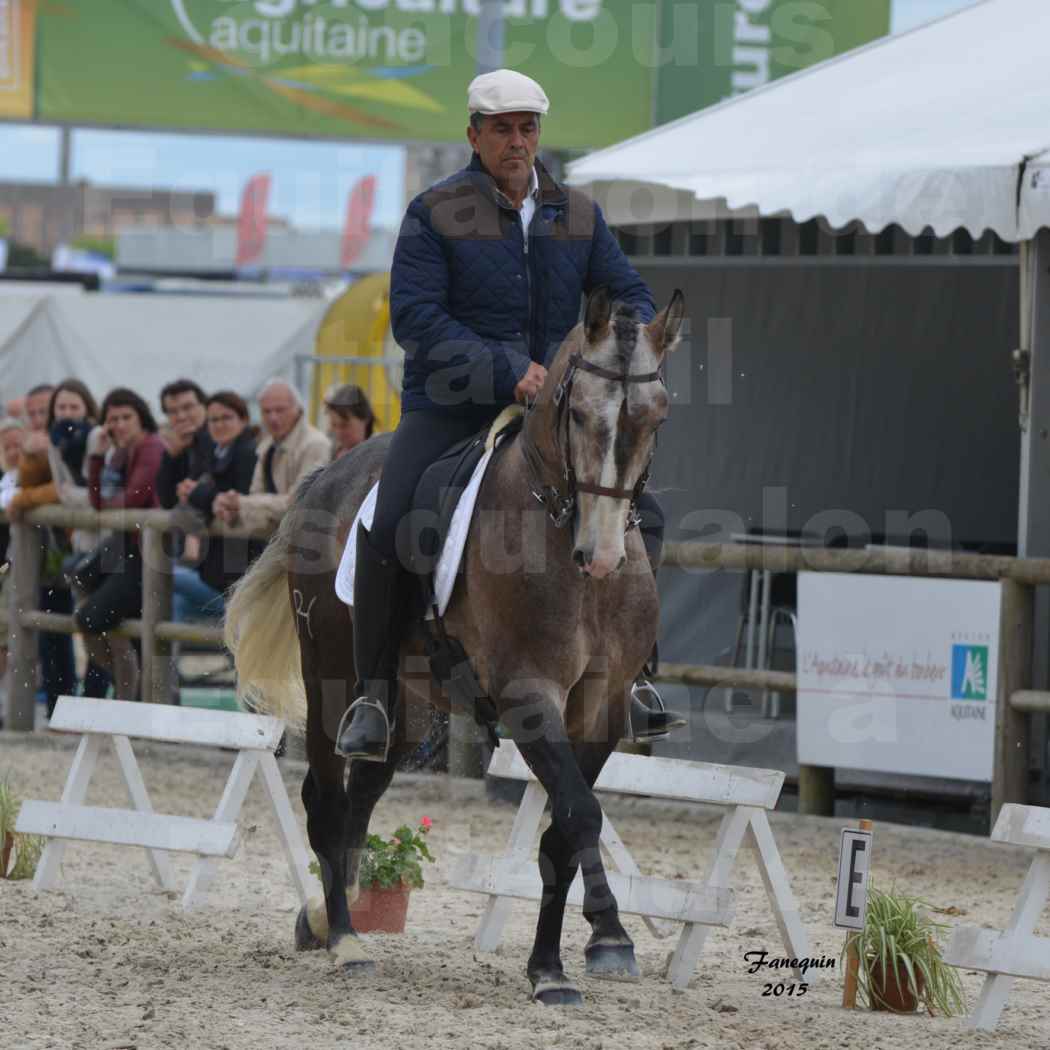 Salon Equitaine de Bordeaux 2015 - Concours d'Equitation de Travail avec chevaux Ibériques - L - 07